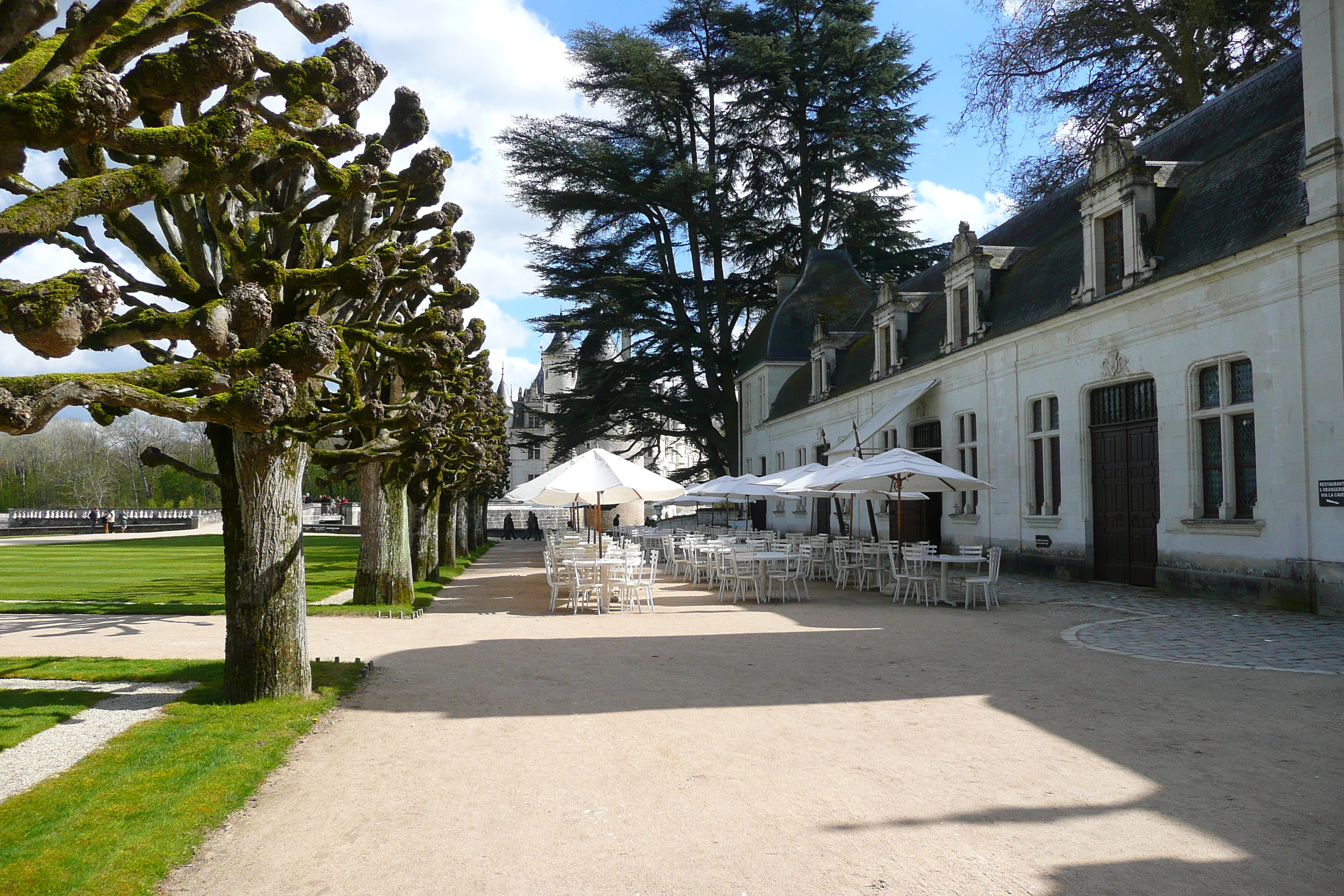 รูปถ่าย ฝรั่งเศส(France) ปราสาทเชอนงโซ(Chenonceau Castle) สวนปราสาทเชอนงโซ(Gardens of Chenonceau) 2008-04 84