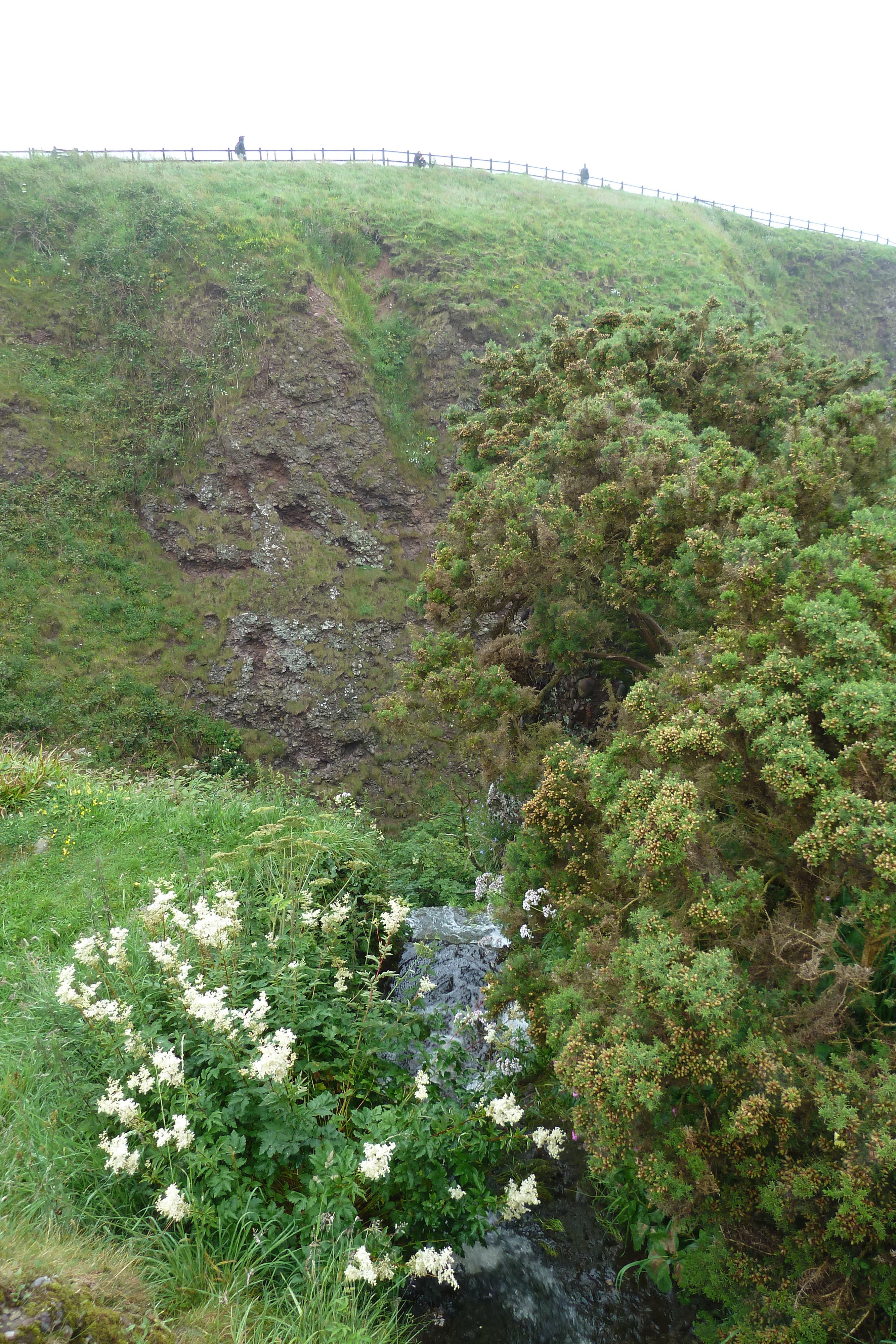 รูปถ่าย อังกฤษ(United Kingdom) สกอตแลนด์(Scotland) ปราสาทดันนอตตาร์(Dunnottar Castle) 2011-07 15