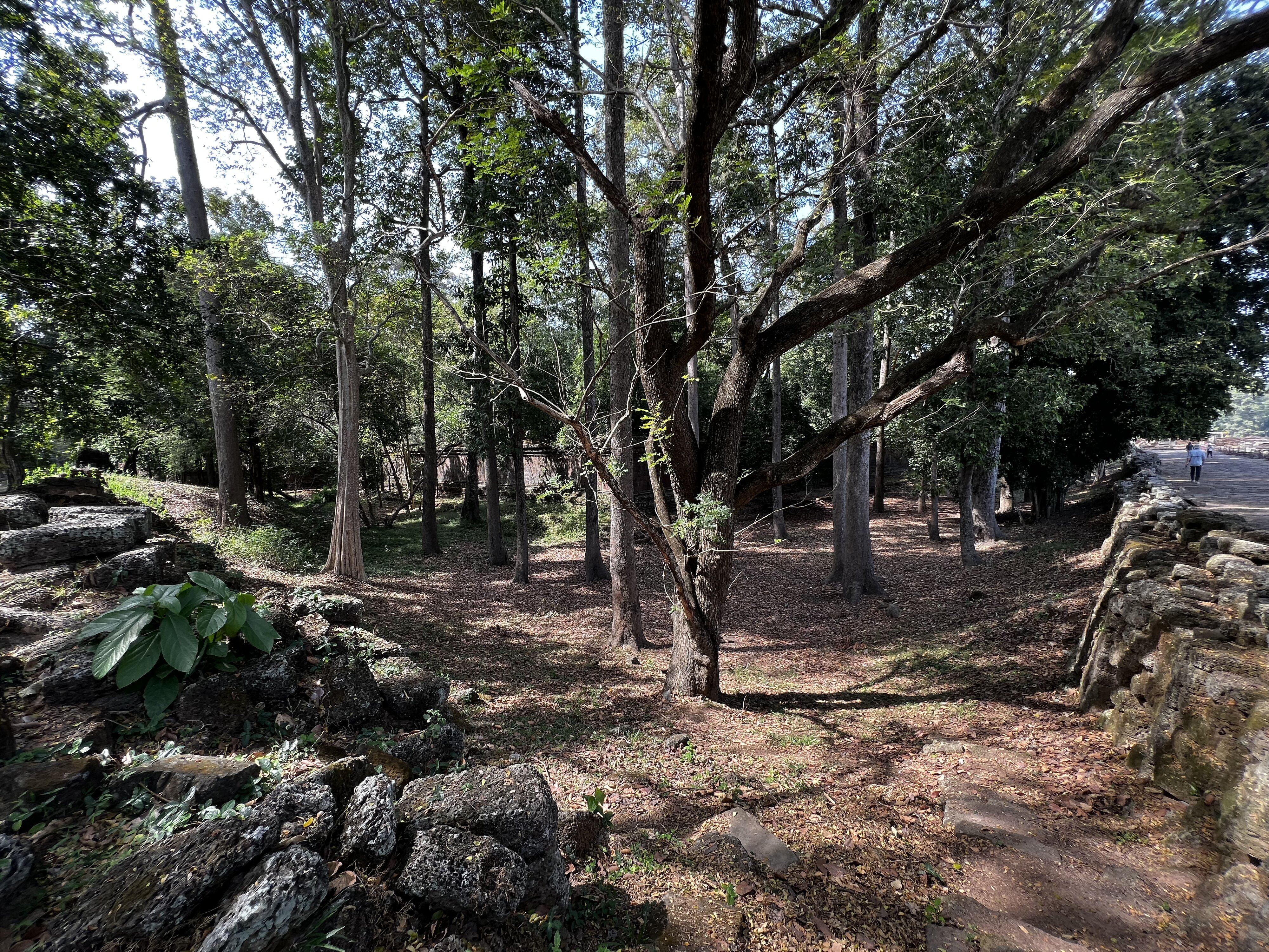 รูปถ่าย กัมพูชา(Cambodia) เสียมราฐ(Siem Reap) นครธม(Angkor Thom) 2023-01 37