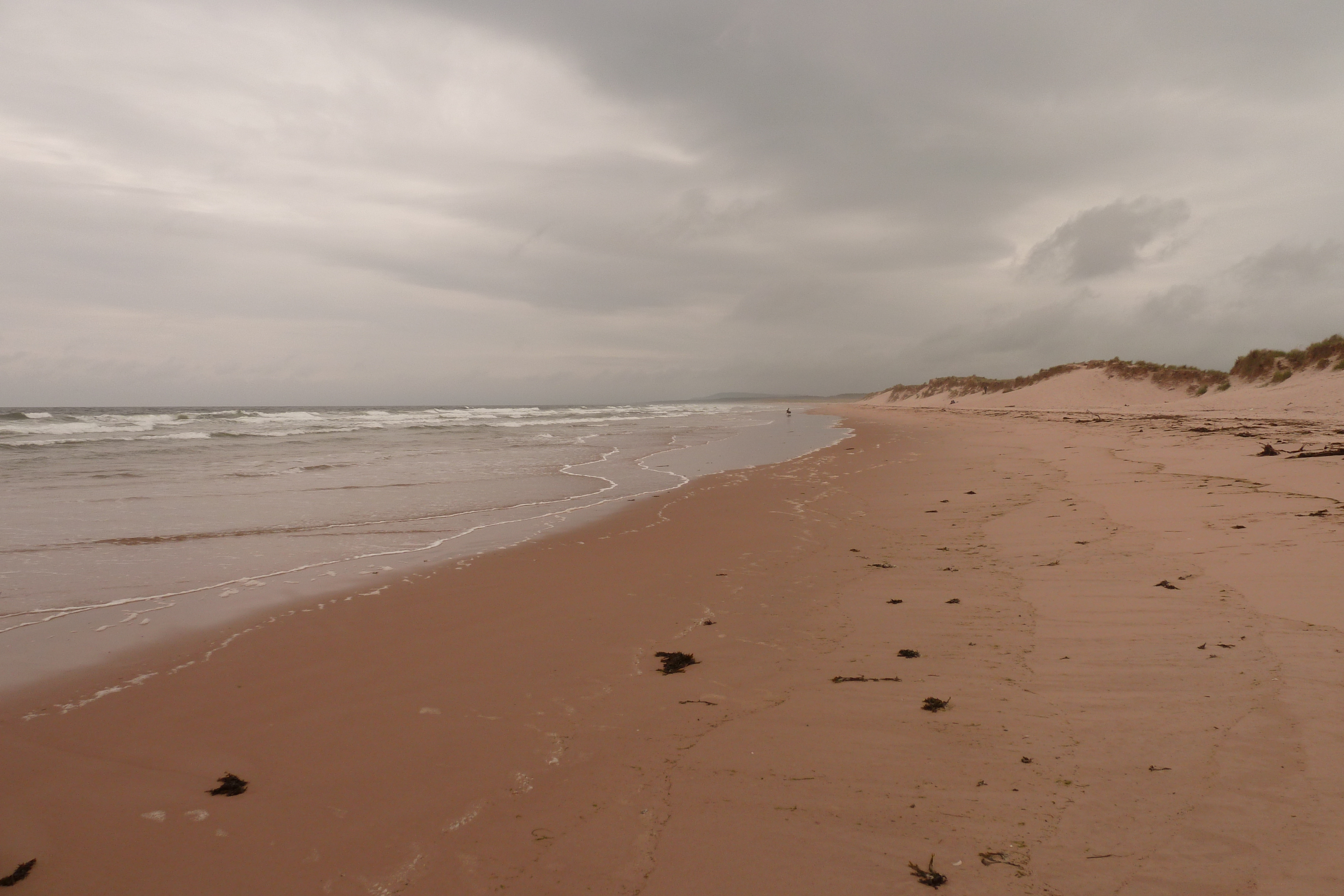 รูปถ่าย อังกฤษ(United Kingdom) สกอตแลนด์(Scotland) ลอสซีเมาท์(Lossiemouth) 2011-07 2