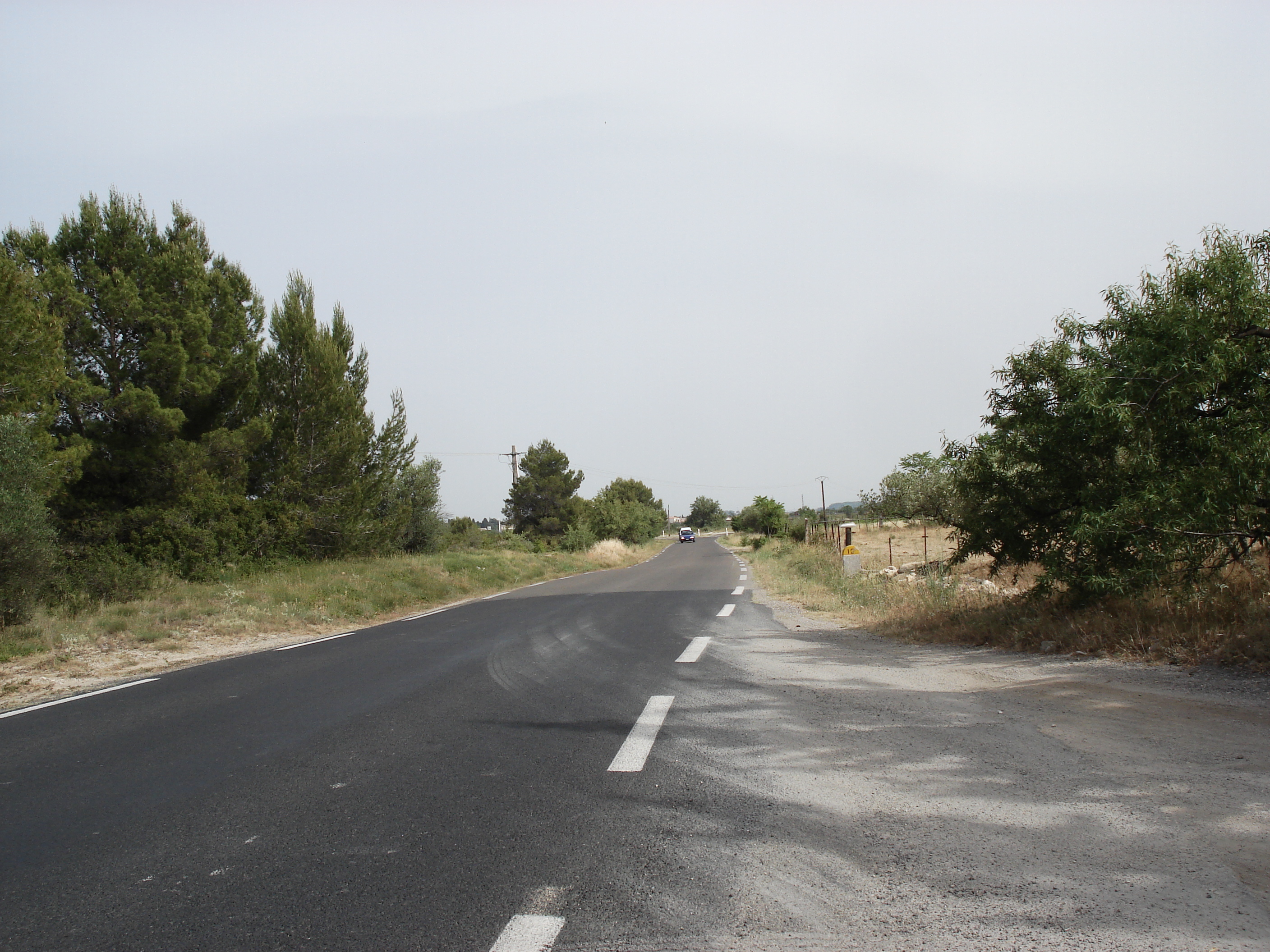 รูปถ่าย ฝรั่งเศส(France) โซเมียร์(Sommieres) 2006-06 90