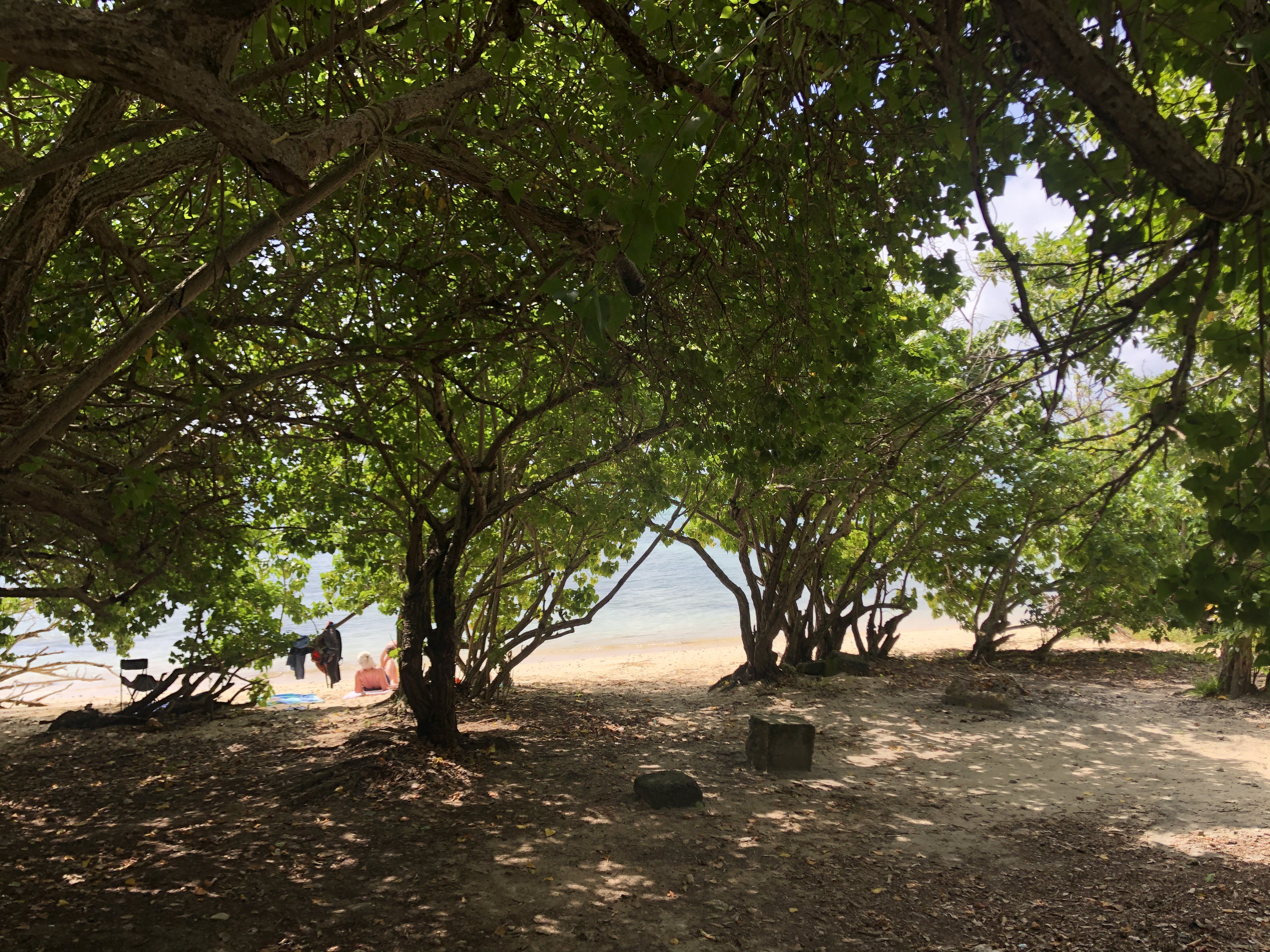 รูปถ่าย กวาเดอลูป(Guadeloupe) แซ็งฟร็องซัว(Saint Francois) 2021-02 24