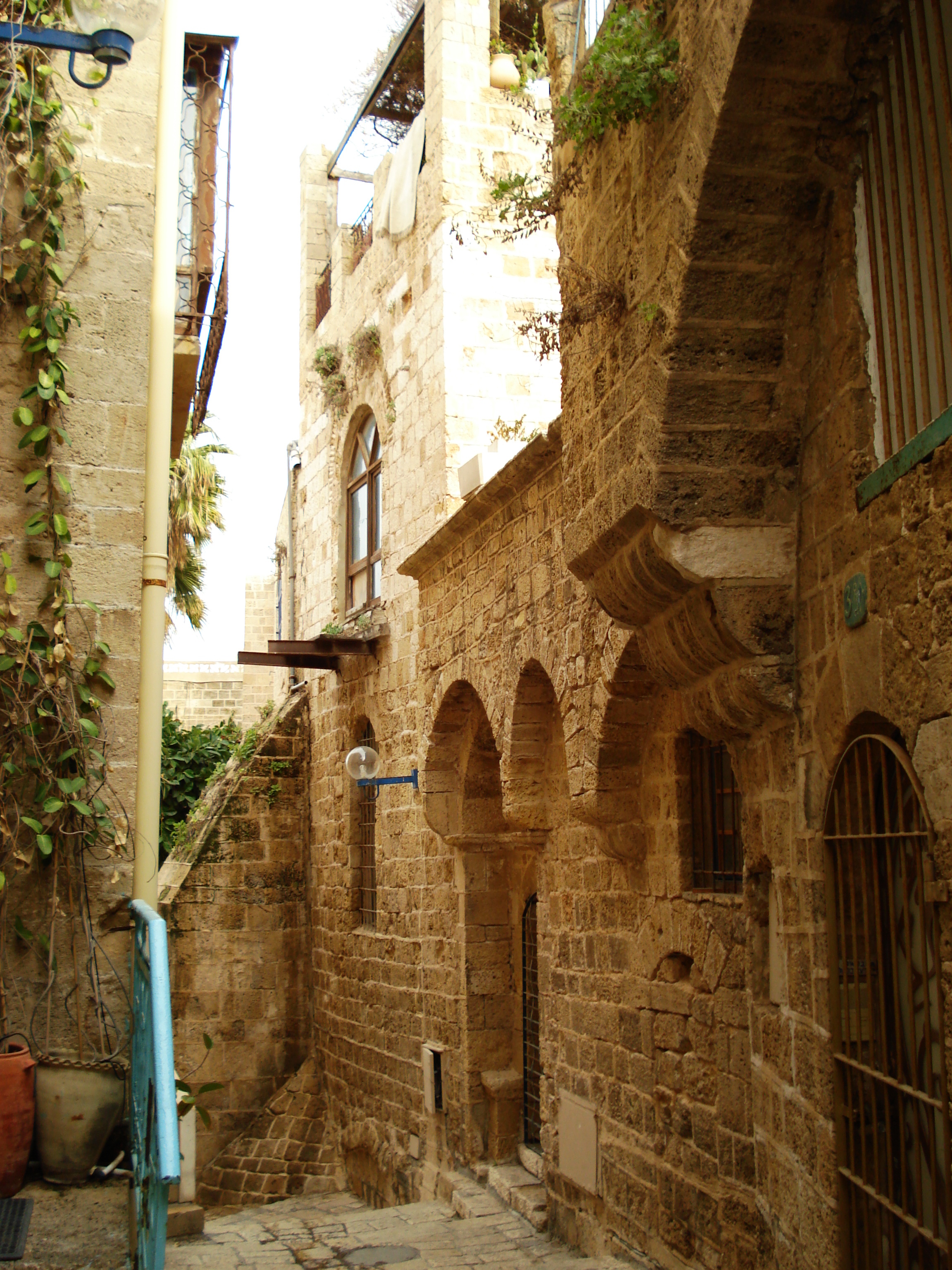 รูปถ่าย อิสราเอล(Israel) จาฟา(Jaffa) 2006-12 29