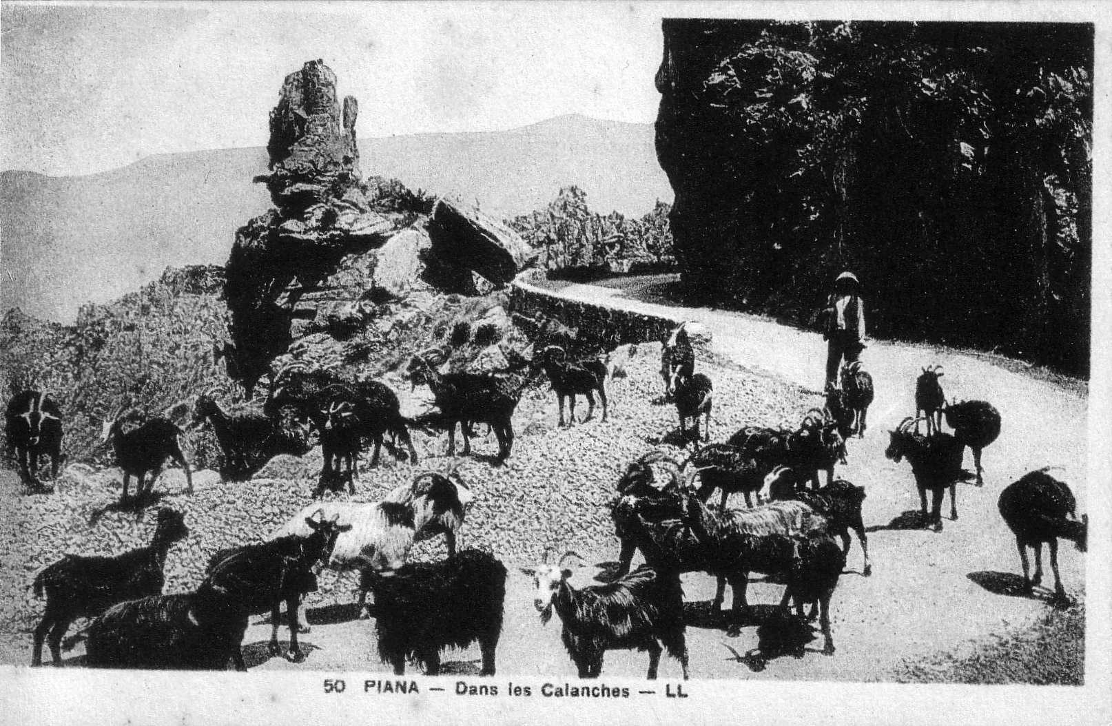 รูปถ่าย ฝรั่งเศส(France) คอร์สิคา(Corsica) โปสการ์ดเก่า(Old Postcards) 1900-01 175
