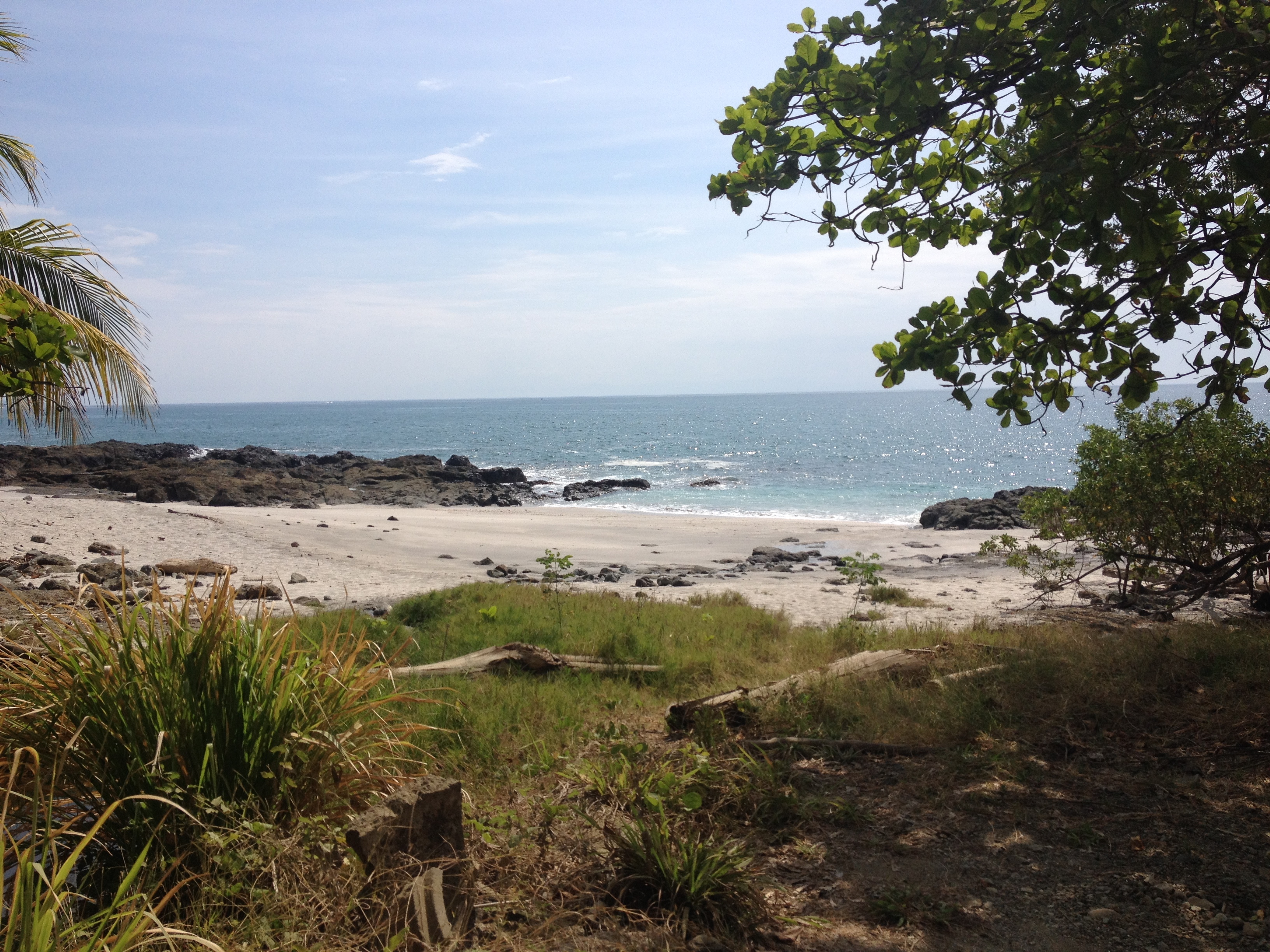 รูปถ่าย คอสตาริกา(Costa Rica) มอนเตซูมา(Montezuma) 2015-03 388