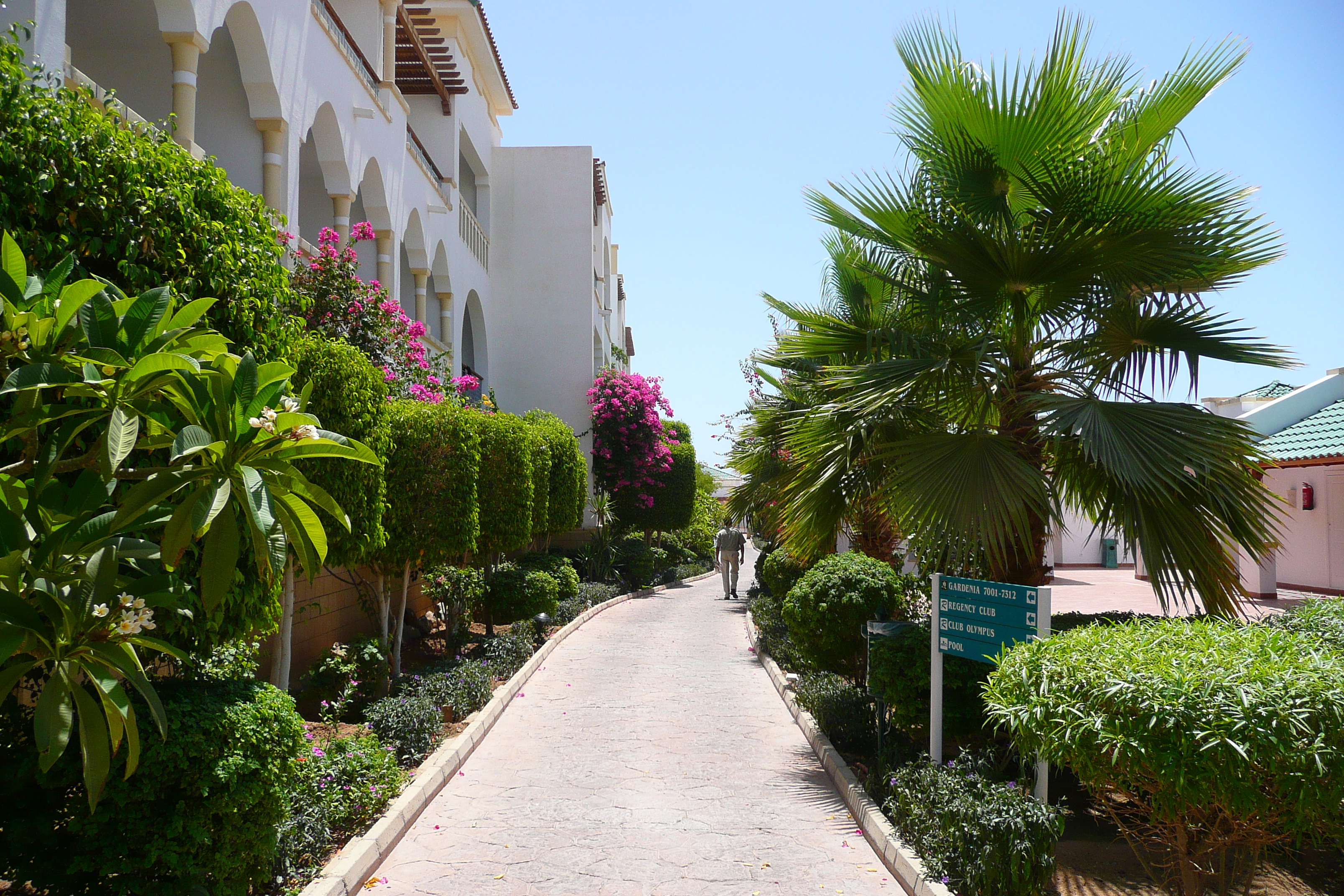 รูปถ่าย อียิปต์(Egypt) ชาร์มเอลชีค(Sharm el Sheikh) โรงแรมไฮแอต(Hyatt Hotel) 2008-06 168