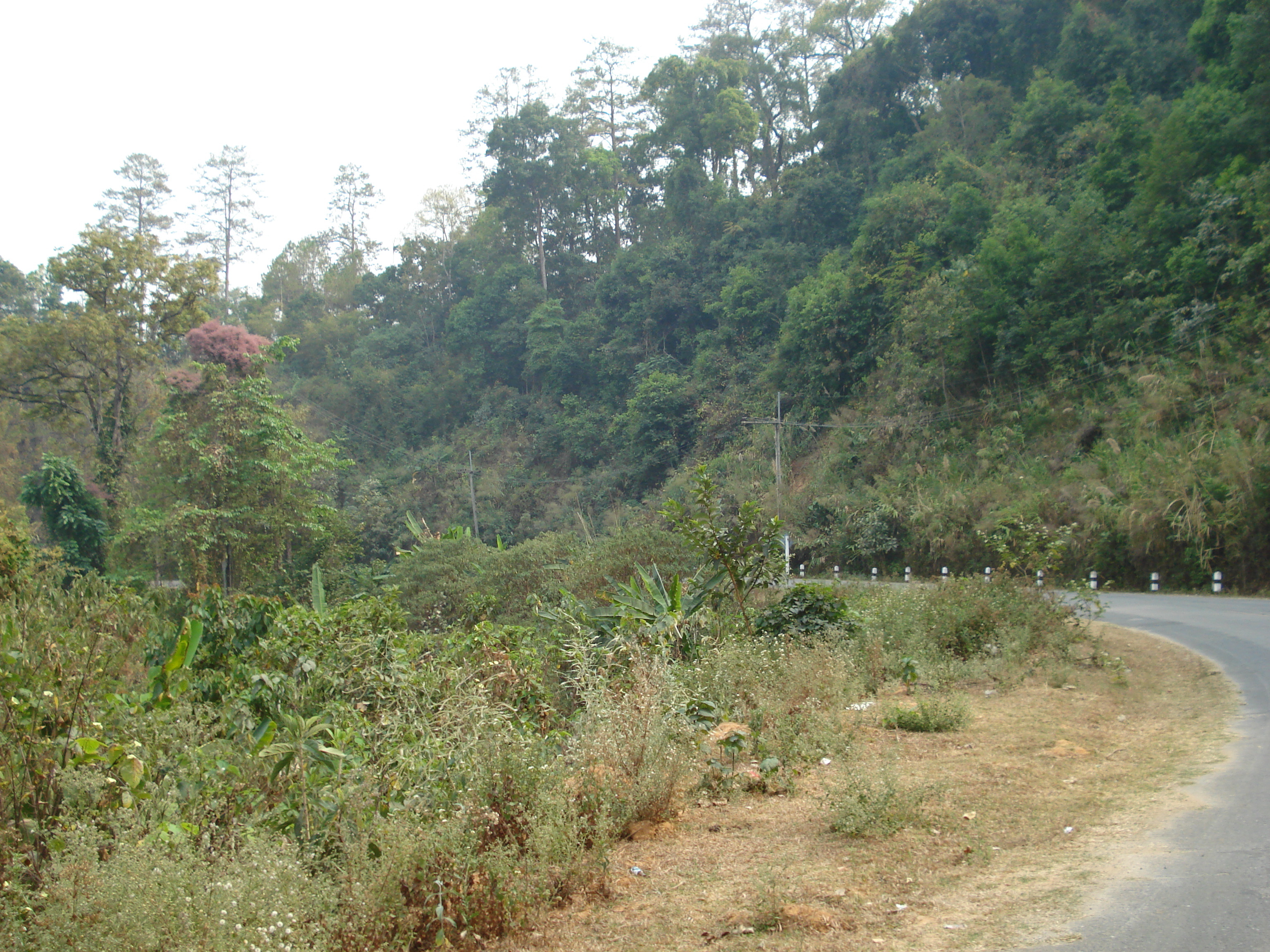 รูปถ่าย ไทย(Thailand) ถนนจากเชียงใหม่ไปปาย(Chiang Mai to Pai road) 2007-02 71