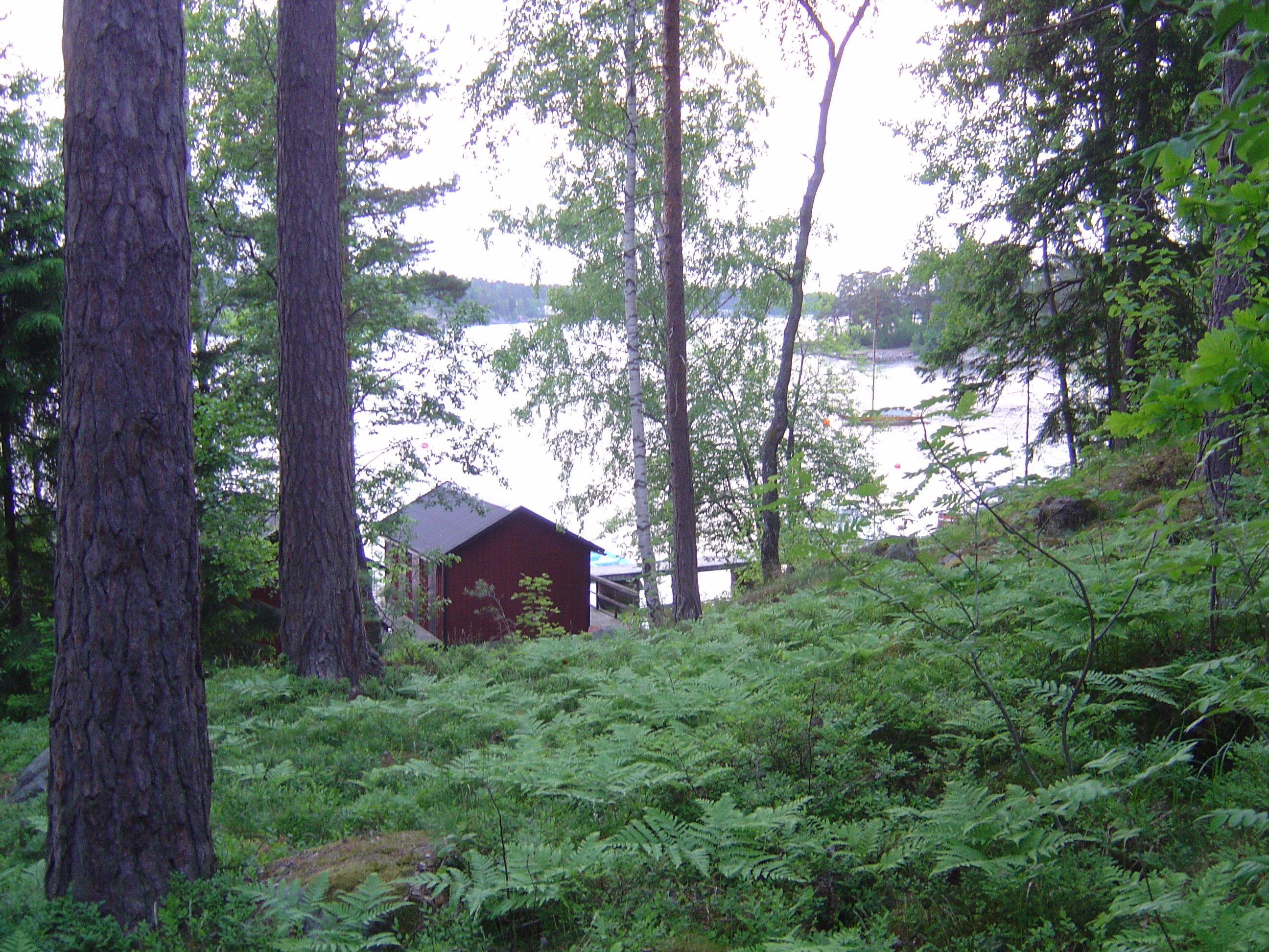 รูปถ่าย สวีเดน(Sweden) สตาฟนาส(Stavnas) 2005-06 13