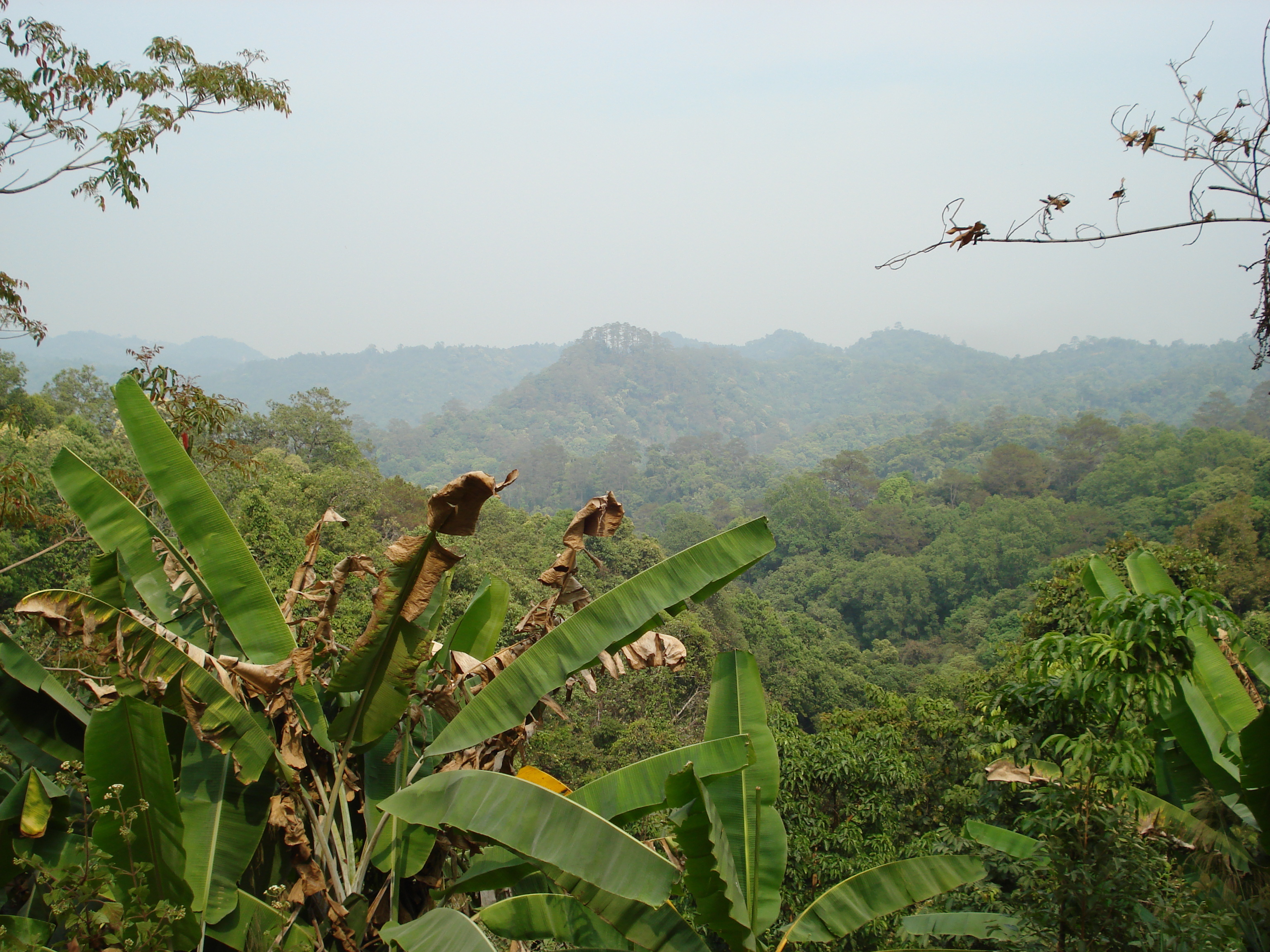 รูปถ่าย ไทย(Thailand) ถนนจากเชียงใหม่ไปปาย(Chiang Mai to Pai road) 2007-02 111