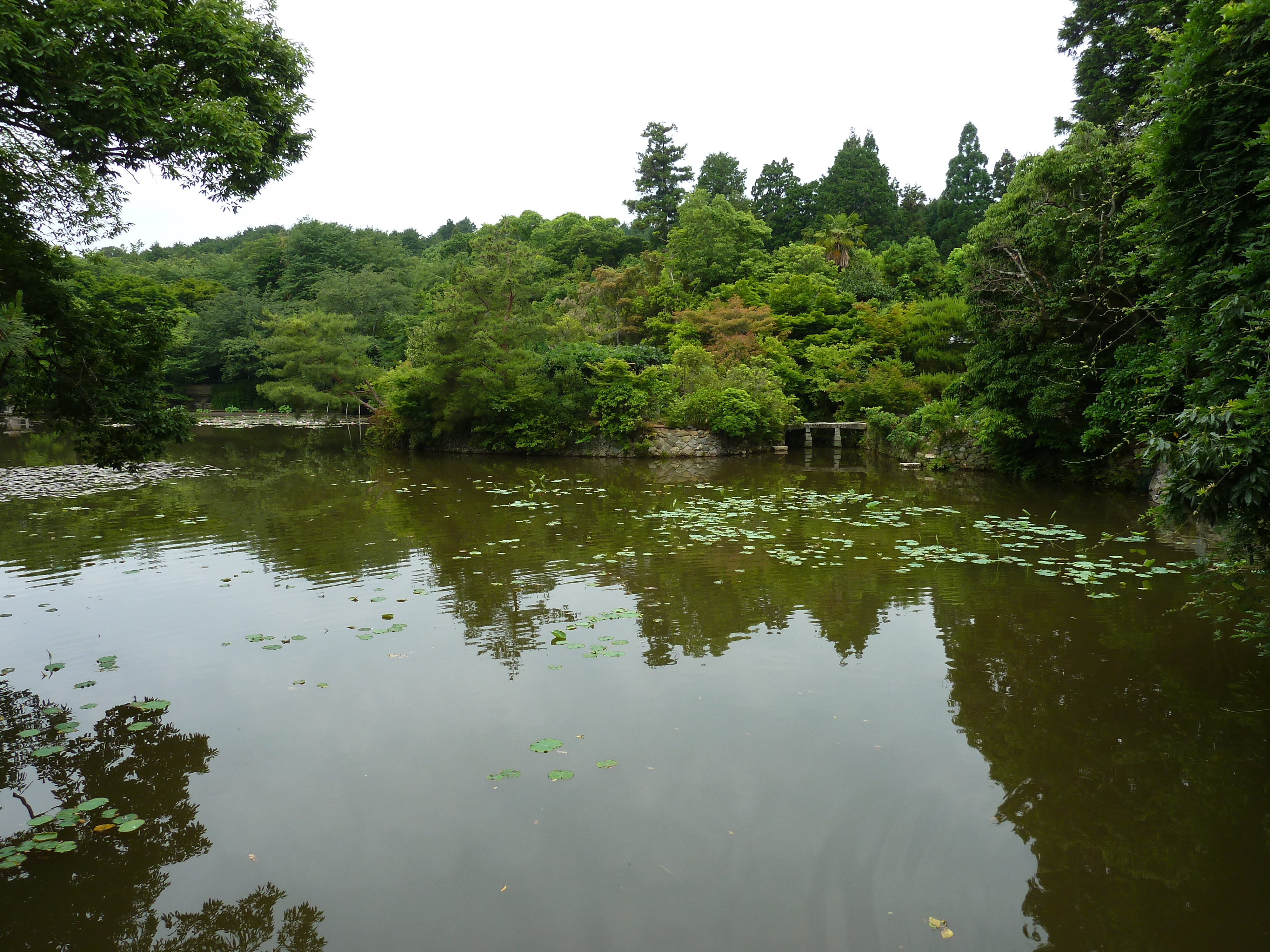 รูปถ่าย ญี่ปุ่น(Japan) เกียวโต(Kyoto) วัดเรียวอันจิ(Ryoanji Temple) 2010-06 11