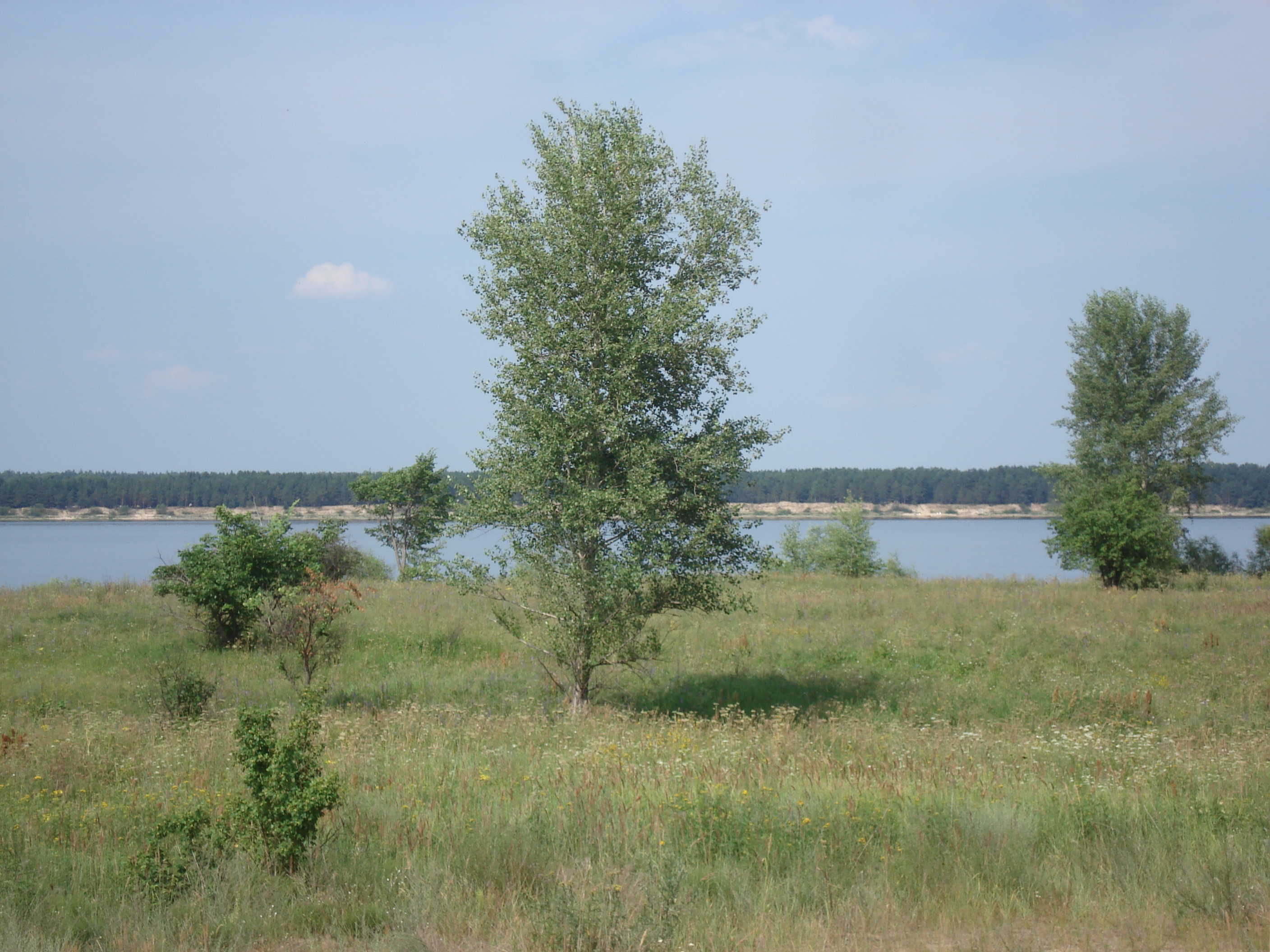 รูปถ่าย รัสเซีย(Russia) จากคาซานไปนิจนีนอฟโกรอด(From Kazan to Nizhniy Novgorod) 2006-07 44