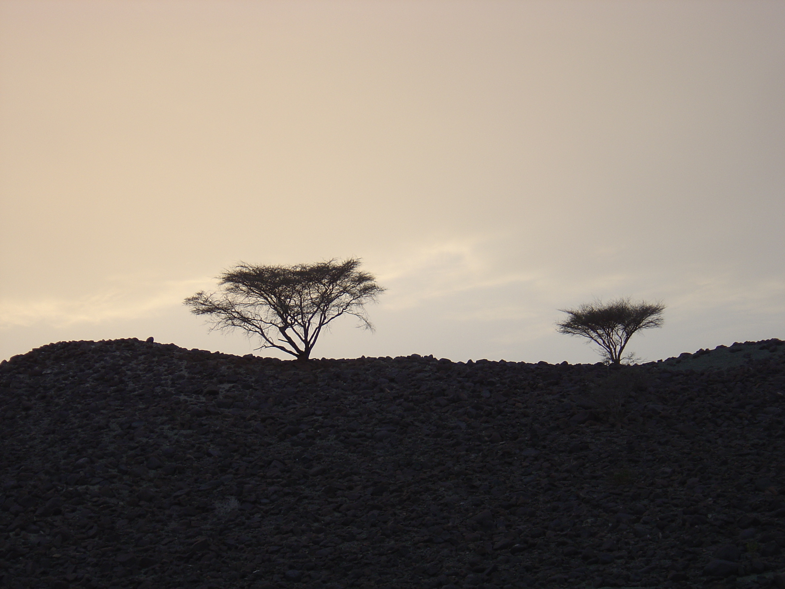 รูปถ่าย โอมาน(Oman) จากบูไรมิไปถนนโซฮาร์(Buraimi to Sohar road) 2005-03 0