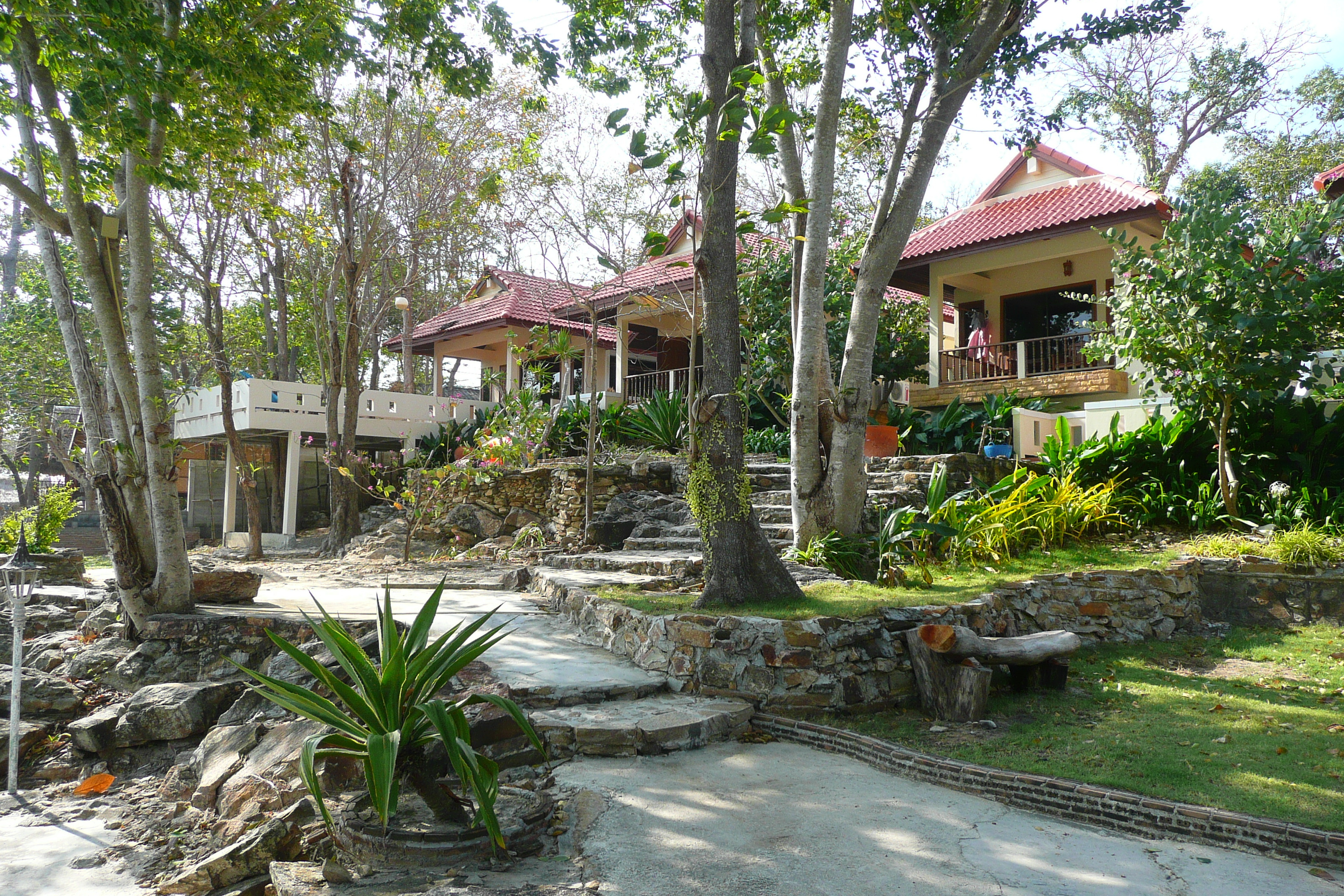 รูปถ่าย ไทย(Thailand) เกาะเสม็ด(Ko Samet) อ่าวช่อ(Ao Cho) 2009-01 2
