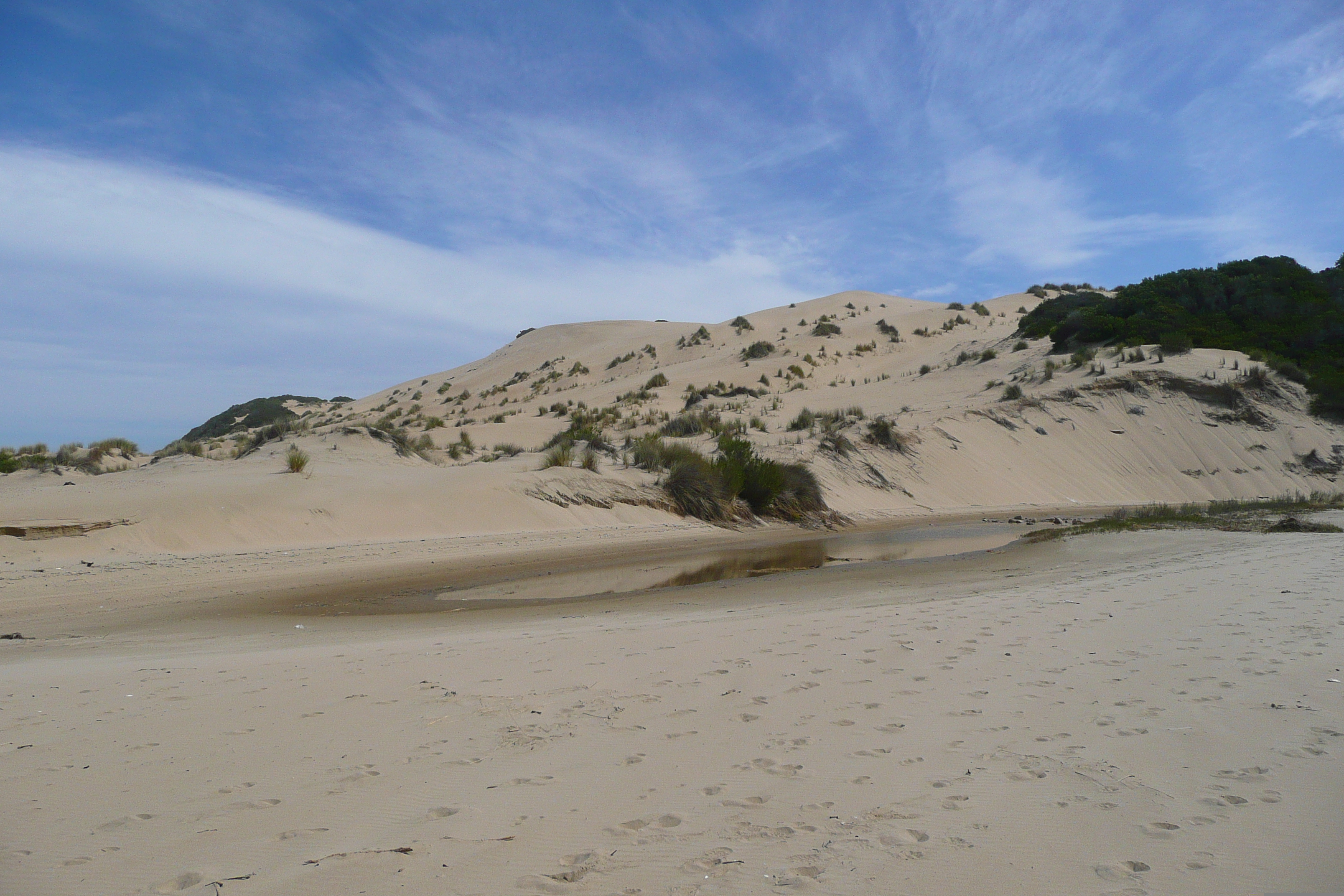 รูปถ่าย แอฟริกาใต้(South Africa) ถนนจากเฮอร์มานัสไปไนส์นา(Harmanus to Knysna road) 2008-09 118