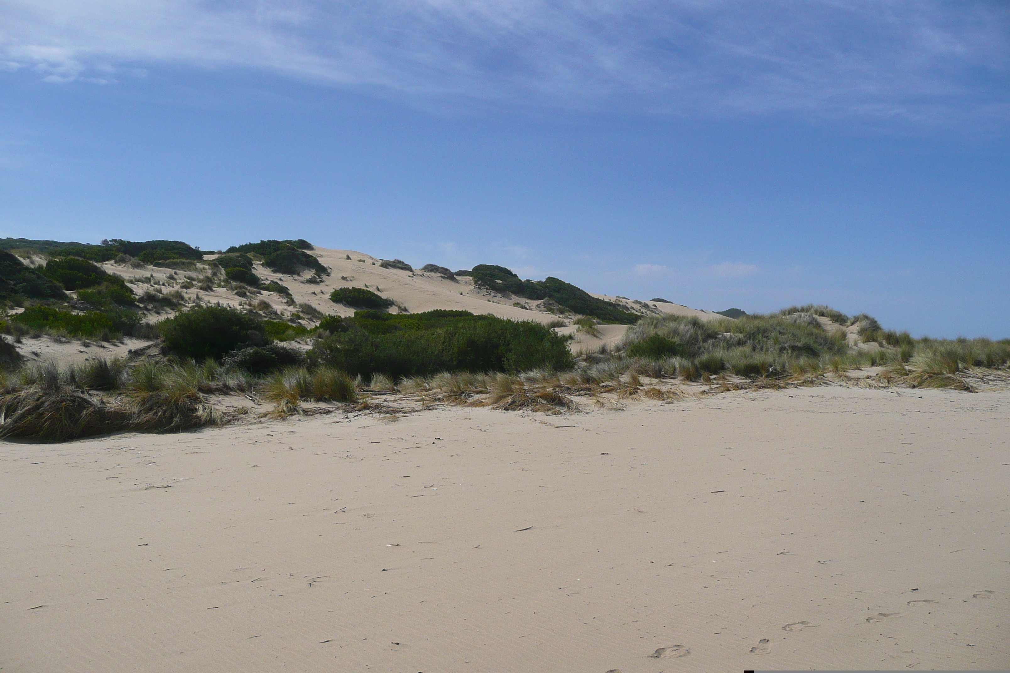 รูปถ่าย แอฟริกาใต้(South Africa) ถนนจากเฮอร์มานัสไปไนส์นา(Harmanus to Knysna road) 2008-09 109