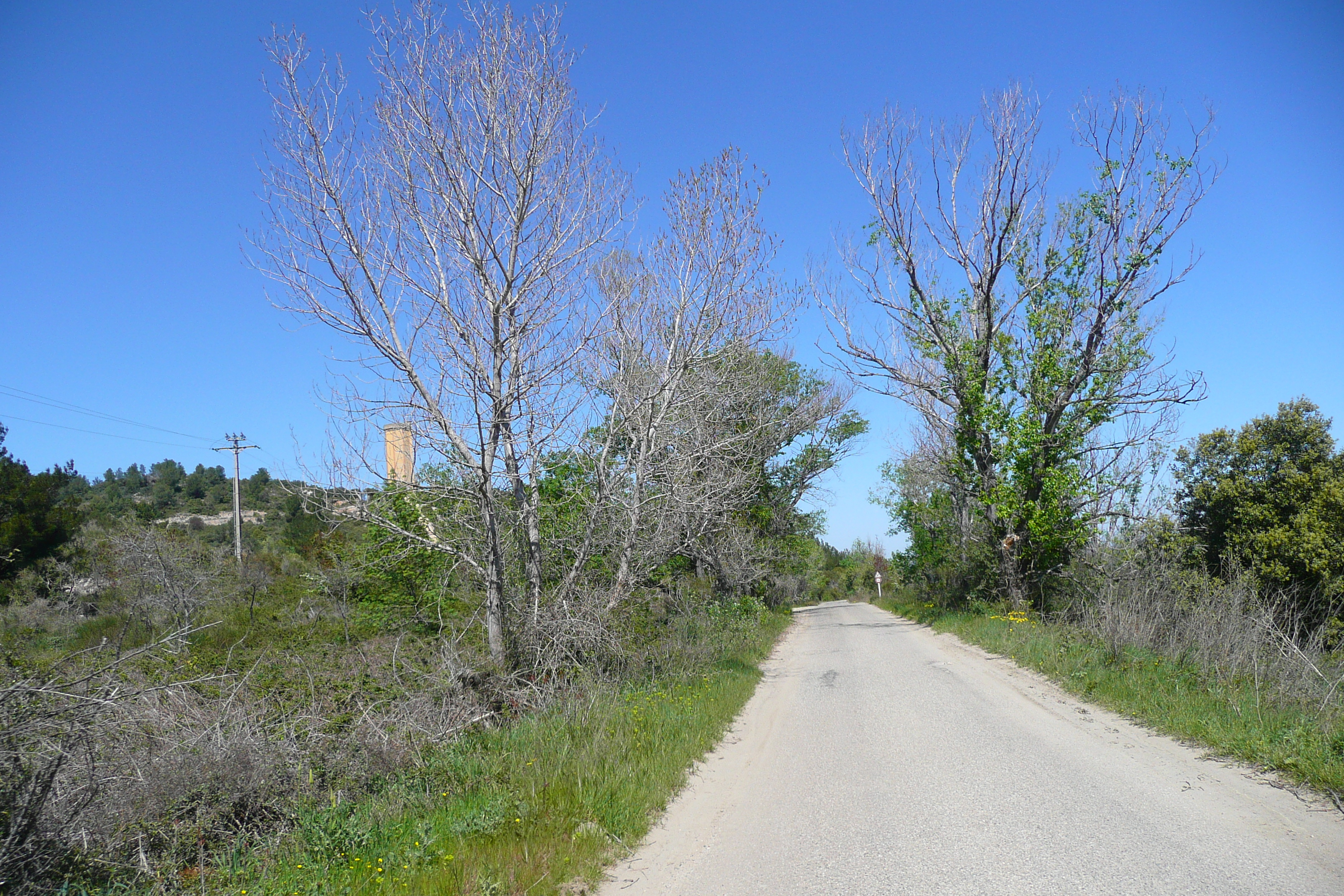 รูปถ่าย ฝรั่งเศส(France) โพรว็องส์(Provence) ถนนจากโบแกร์ไปปงดูการ์(Beaucaire to pont du gard road) 2008-04 28