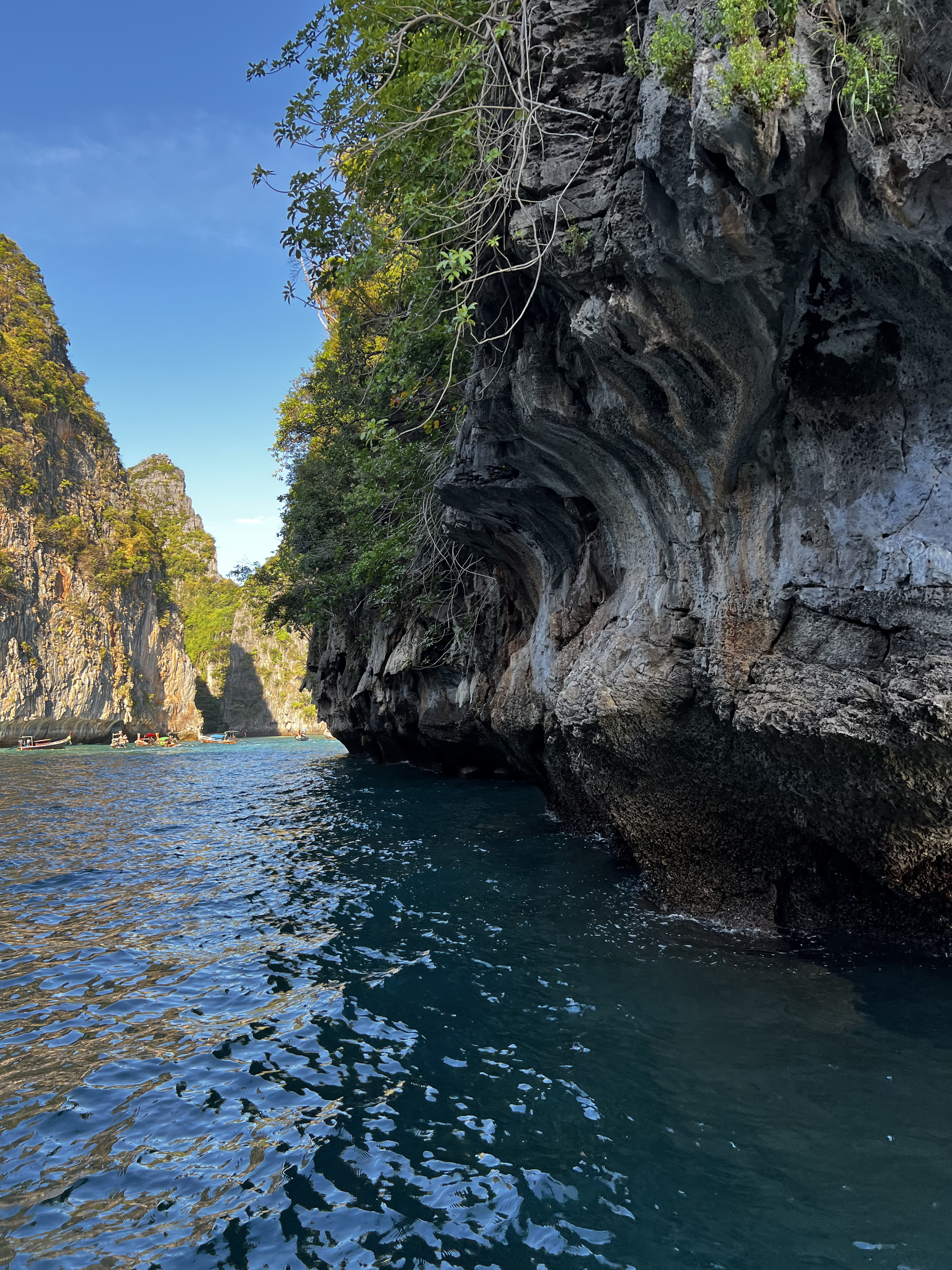 รูปถ่าย ไทย(Thailand) เกาะพีพีเล(Ko Phi Phi Ley) 2021-12 46