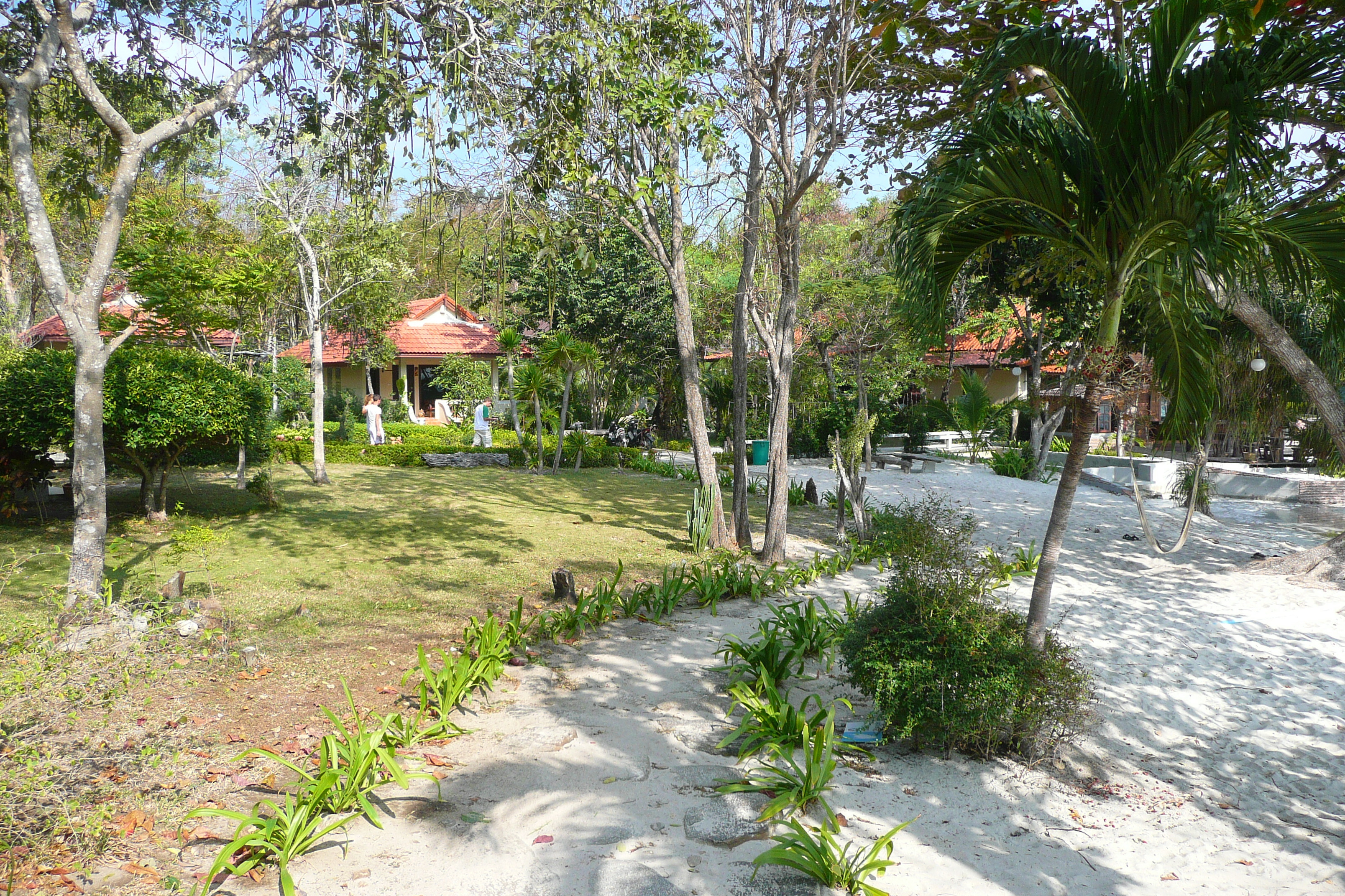 รูปถ่าย ไทย(Thailand) เกาะเสม็ด(Ko Samet) อ่าวช่อ(Ao Cho) 2009-01 42