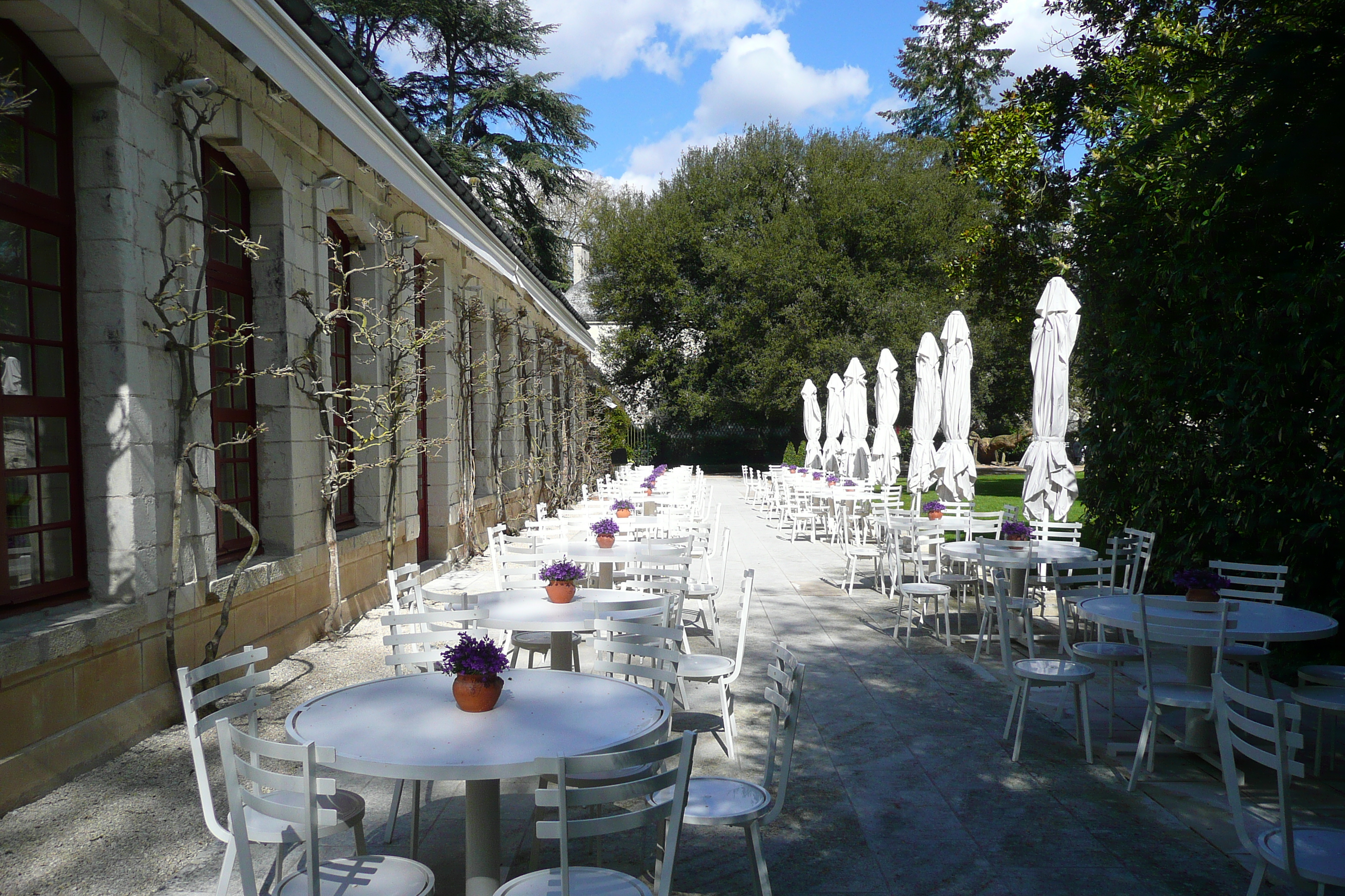 รูปถ่าย ฝรั่งเศส(France) ปราสาทเชอนงโซ(Chenonceau Castle) สวนปราสาทเชอนงโซ(Gardens of Chenonceau) 2008-04 77