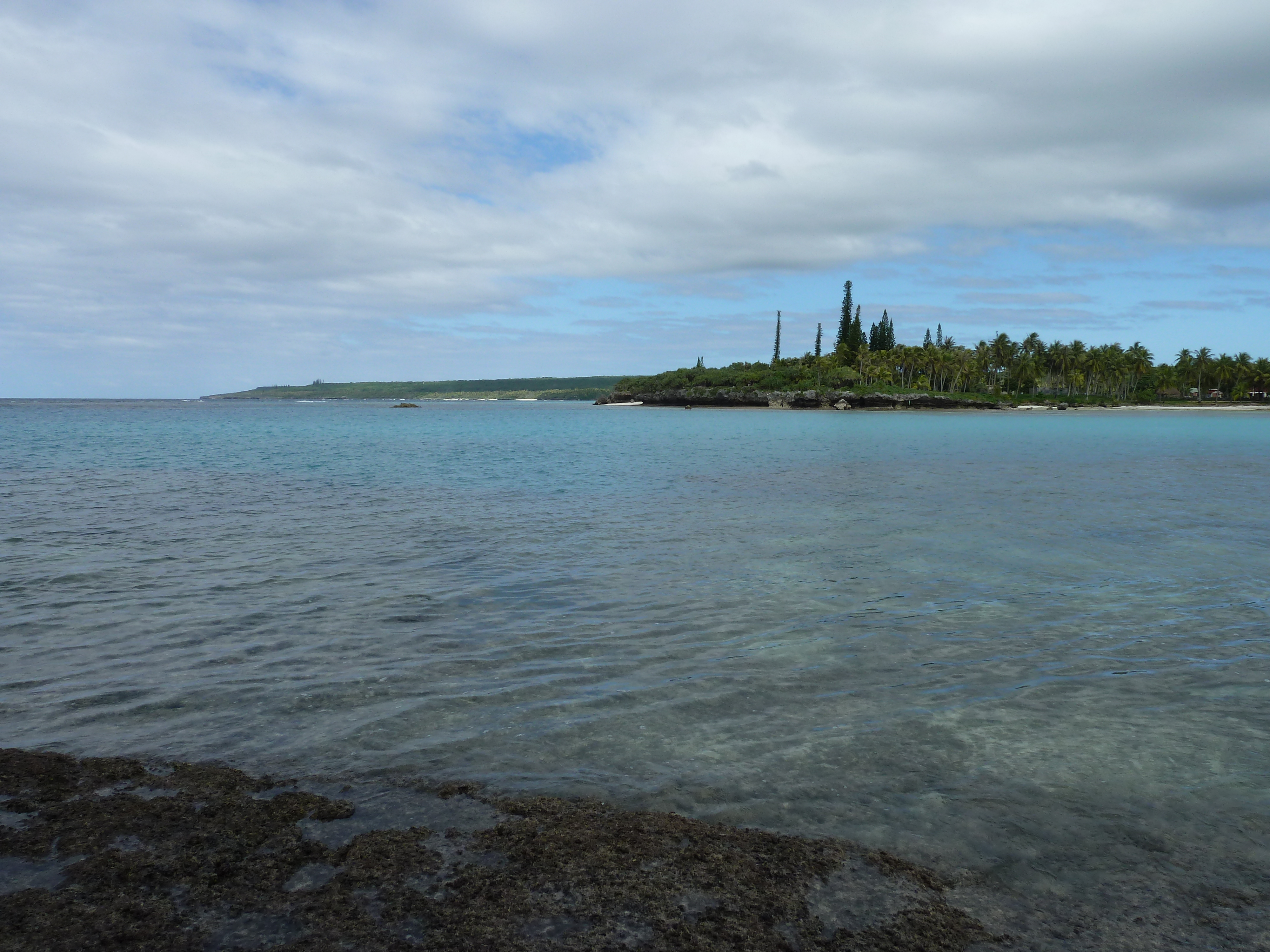 รูปถ่าย นิวแคลิโดเนีย(New Caledonia) เกาะลีฟู(Lifou) อ่าวเต่า(Baie des tortues) 2010-05 16