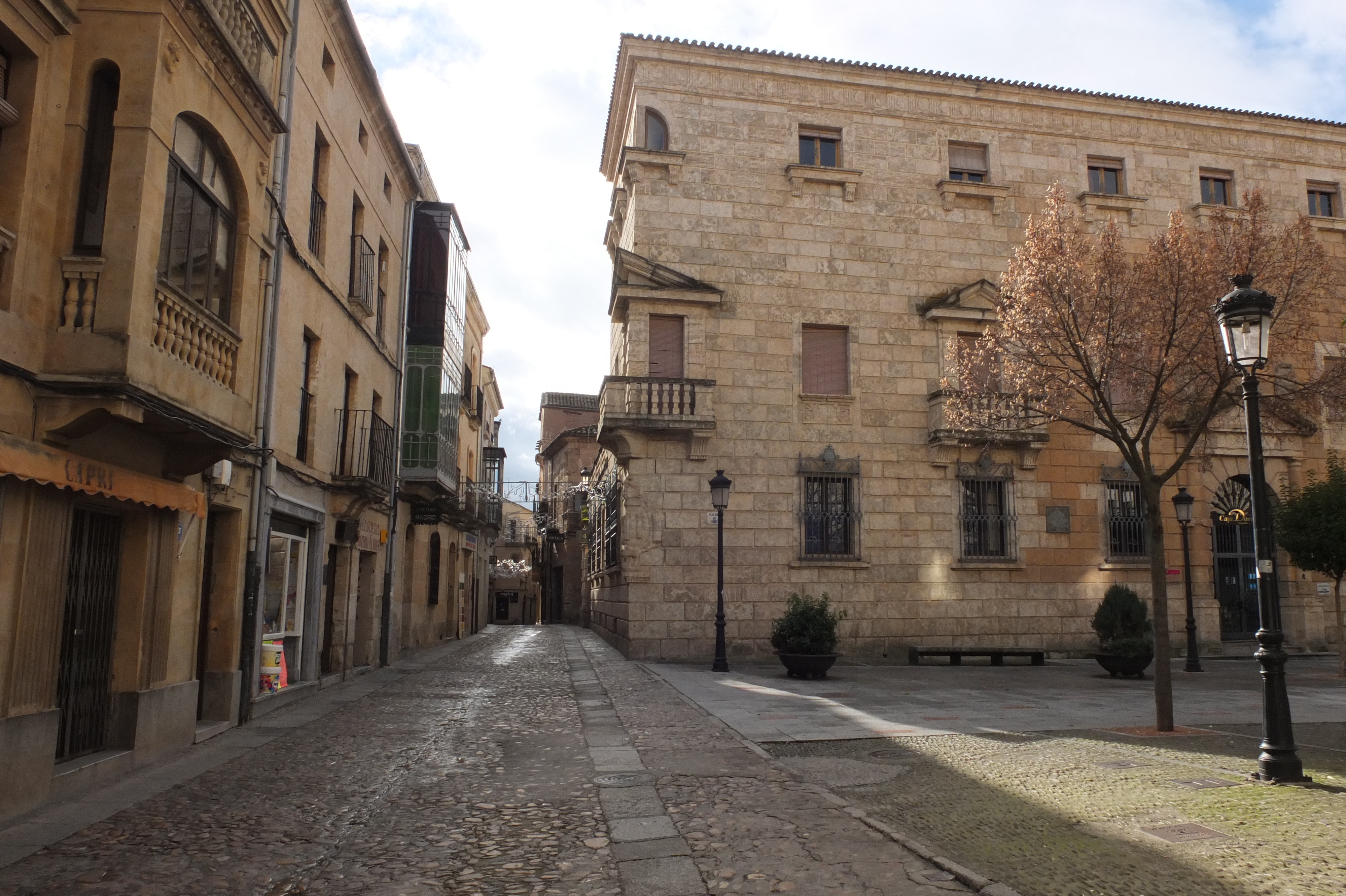 รูปถ่าย สเปน(Spain) ซิวดัดโรดรีโก(Ciudad Rodrigo) 2013-01 33
