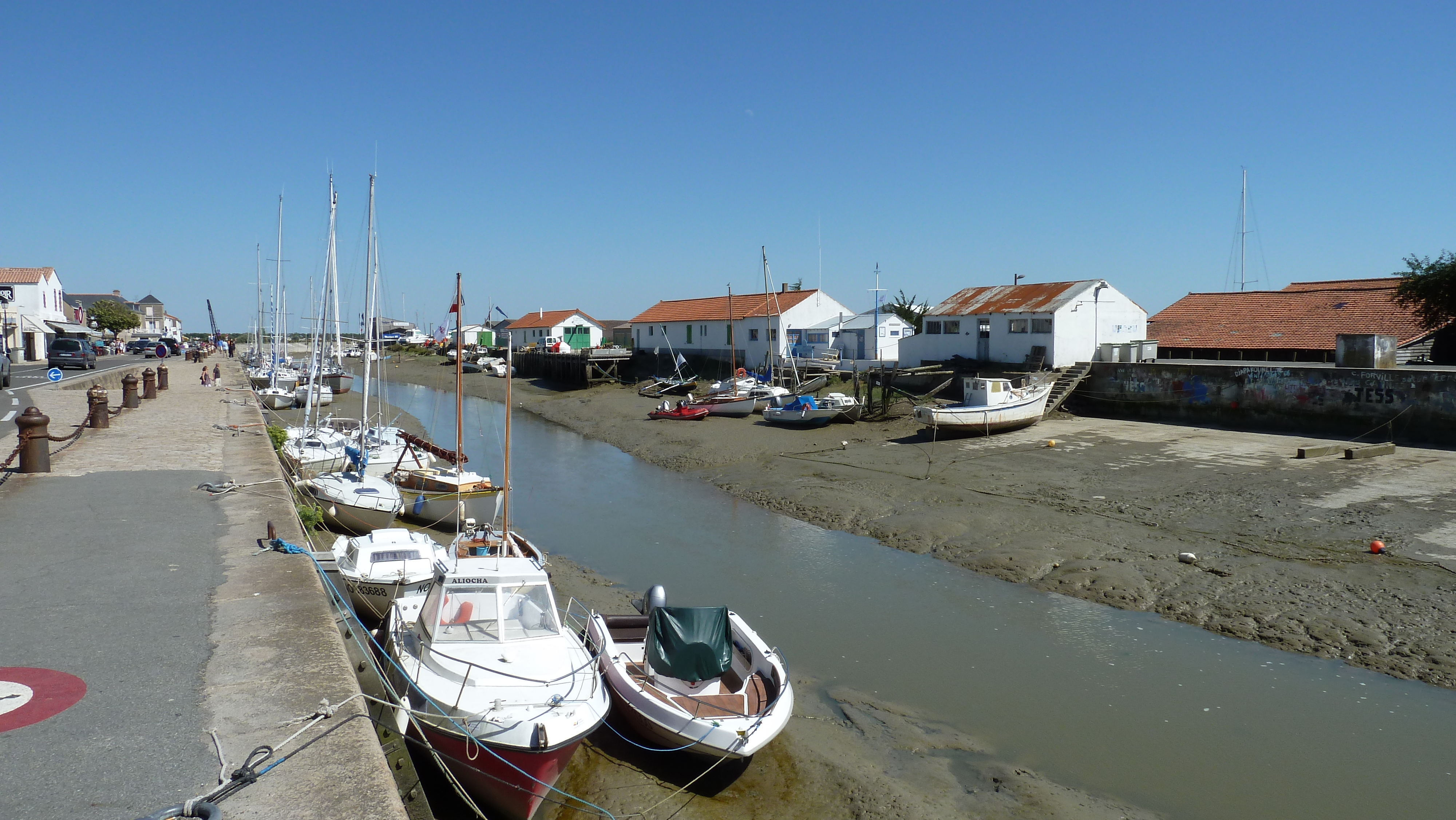 รูปถ่าย ฝรั่งเศส(France) นีวร์มูทีเย(Noirmoutier) 2010-07 29