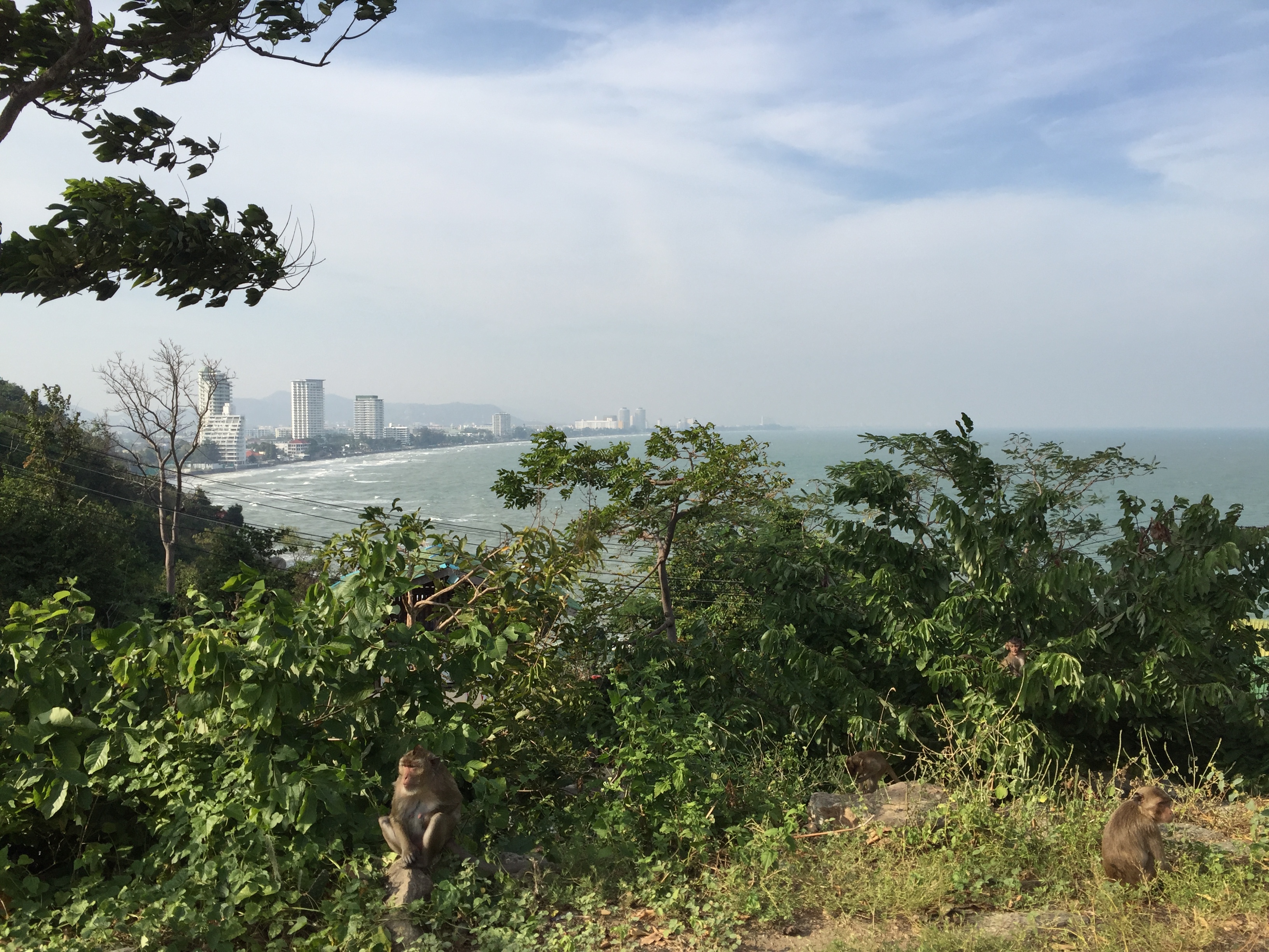 รูปถ่าย ไทย(Thailand) หัวหิน(Hua hin) 2016-01 71
