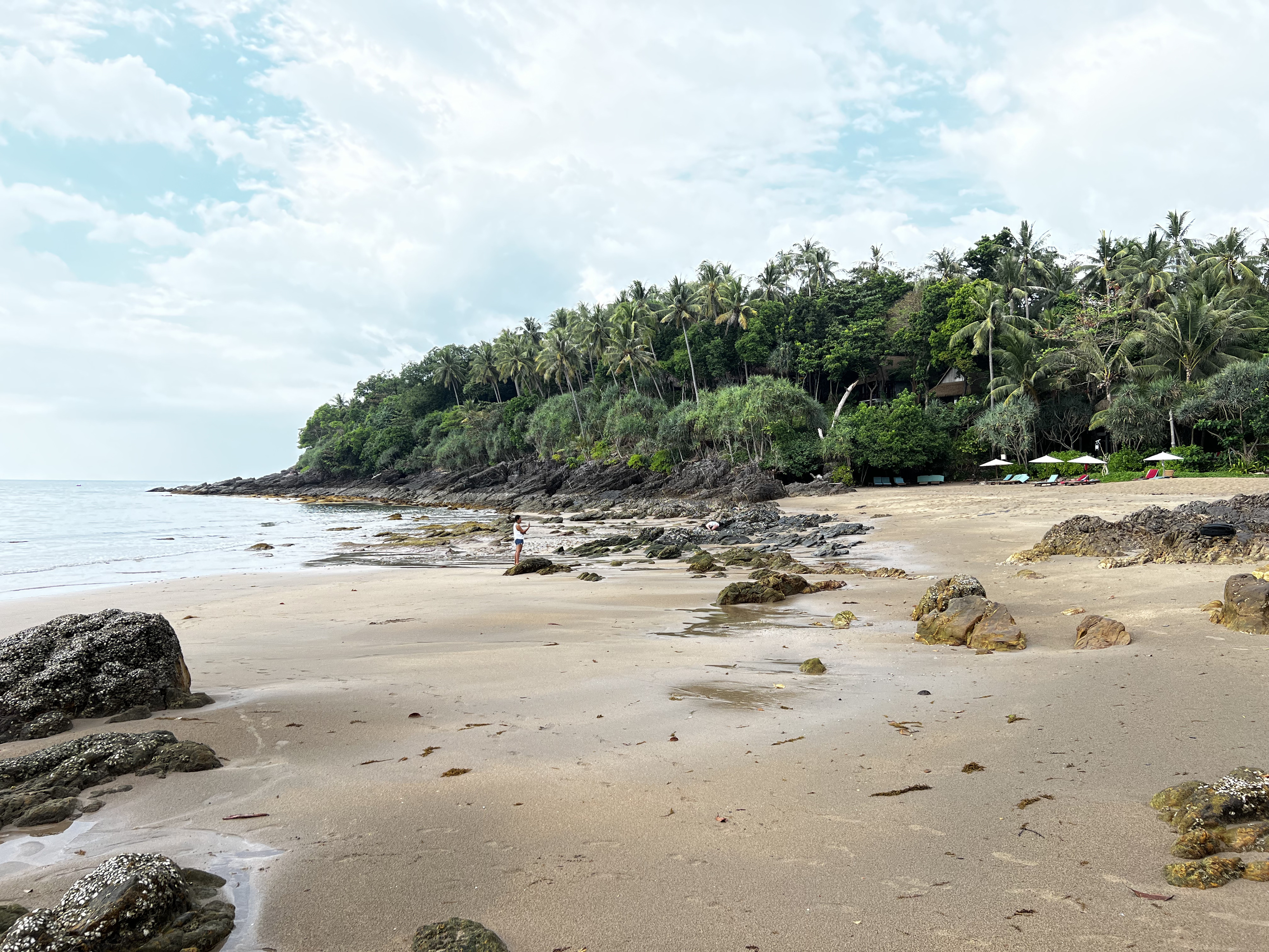 รูปถ่าย ไทย(Thailand) เกาะลันตา(Ko Lanta) 2023-01 131