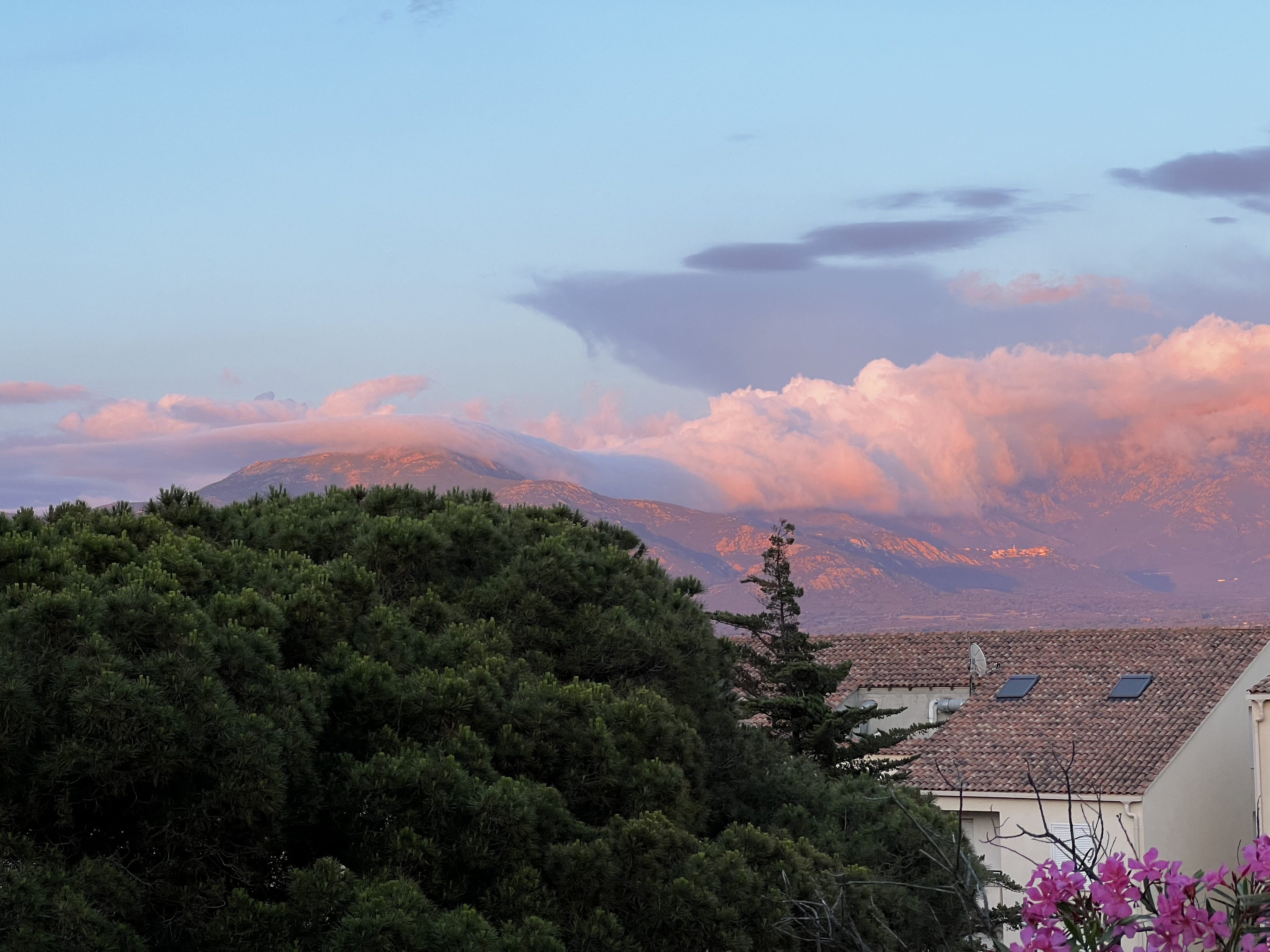 รูปถ่าย ฝรั่งเศส(France) คอร์สิคา(Corsica) คาลวี(Calvi) 2023-06 33