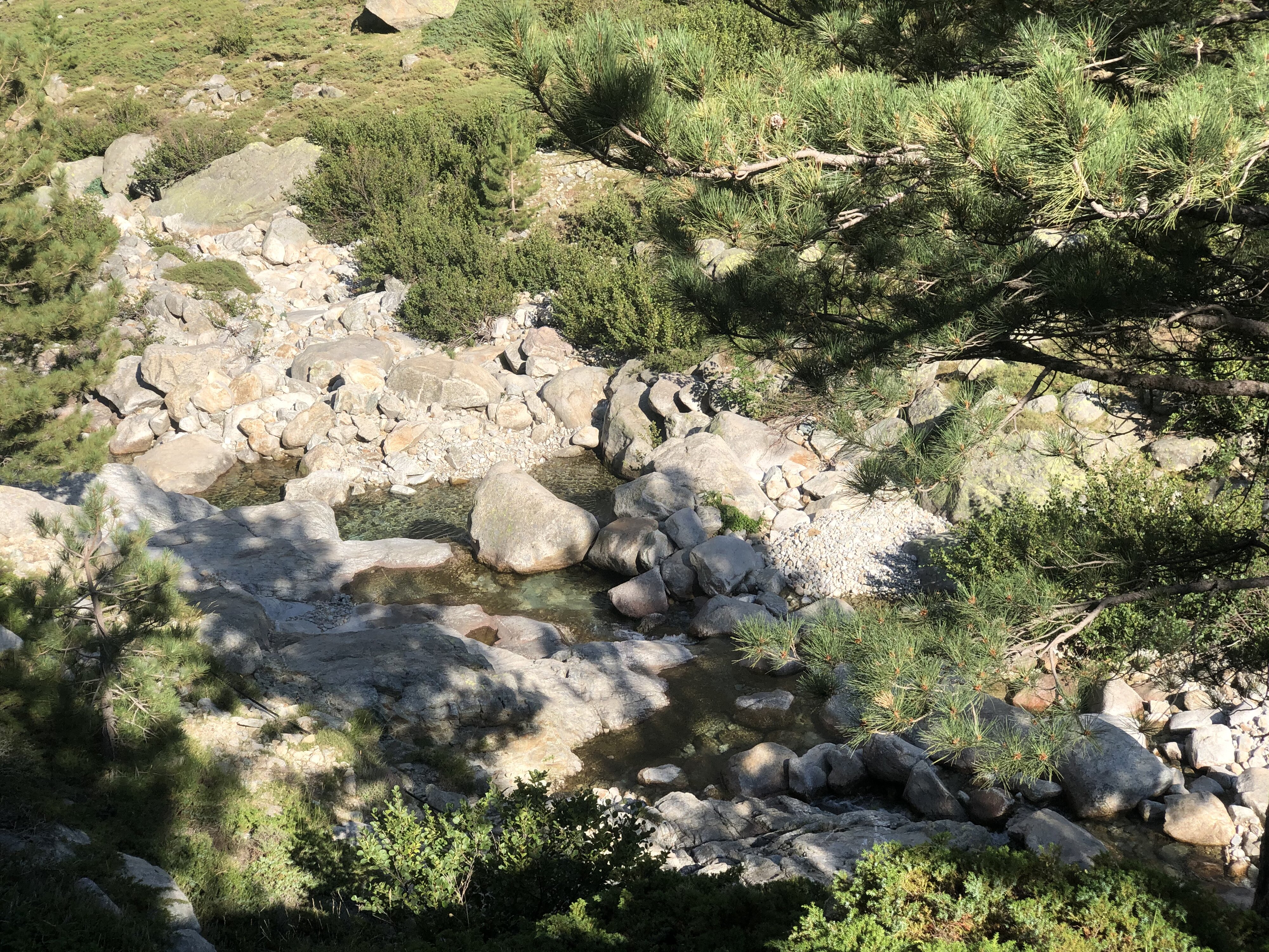 รูปถ่าย ฝรั่งเศส(France) คอร์สิคา(Corsica) หุบเขาลาเรสโตนีกา(La Restonica) 2020-07 59