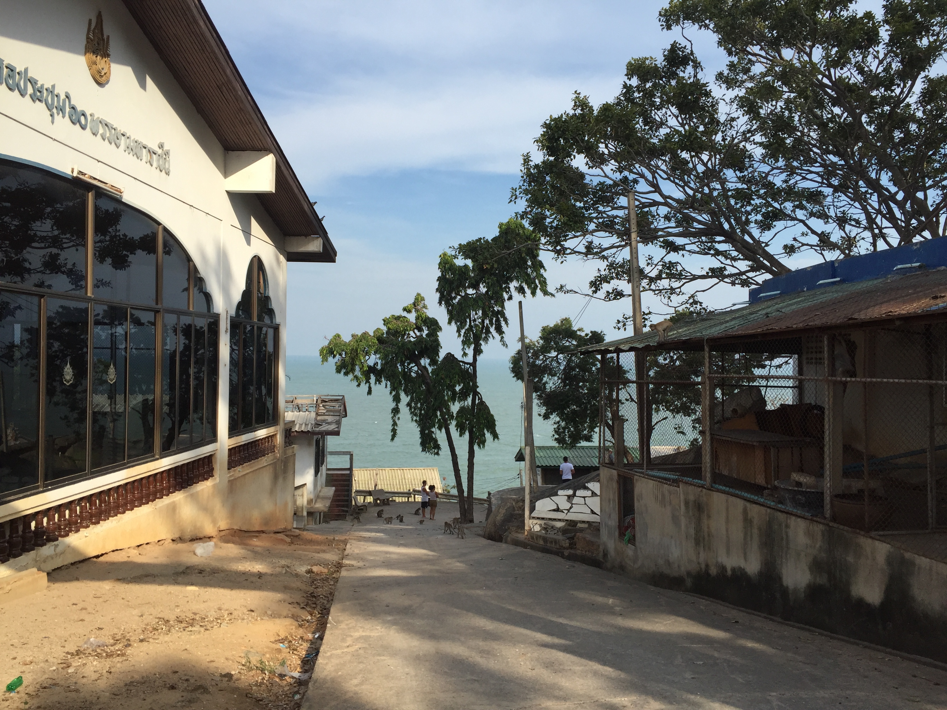 รูปถ่าย ไทย(Thailand) หัวหิน(Hua hin) 2016-01 7