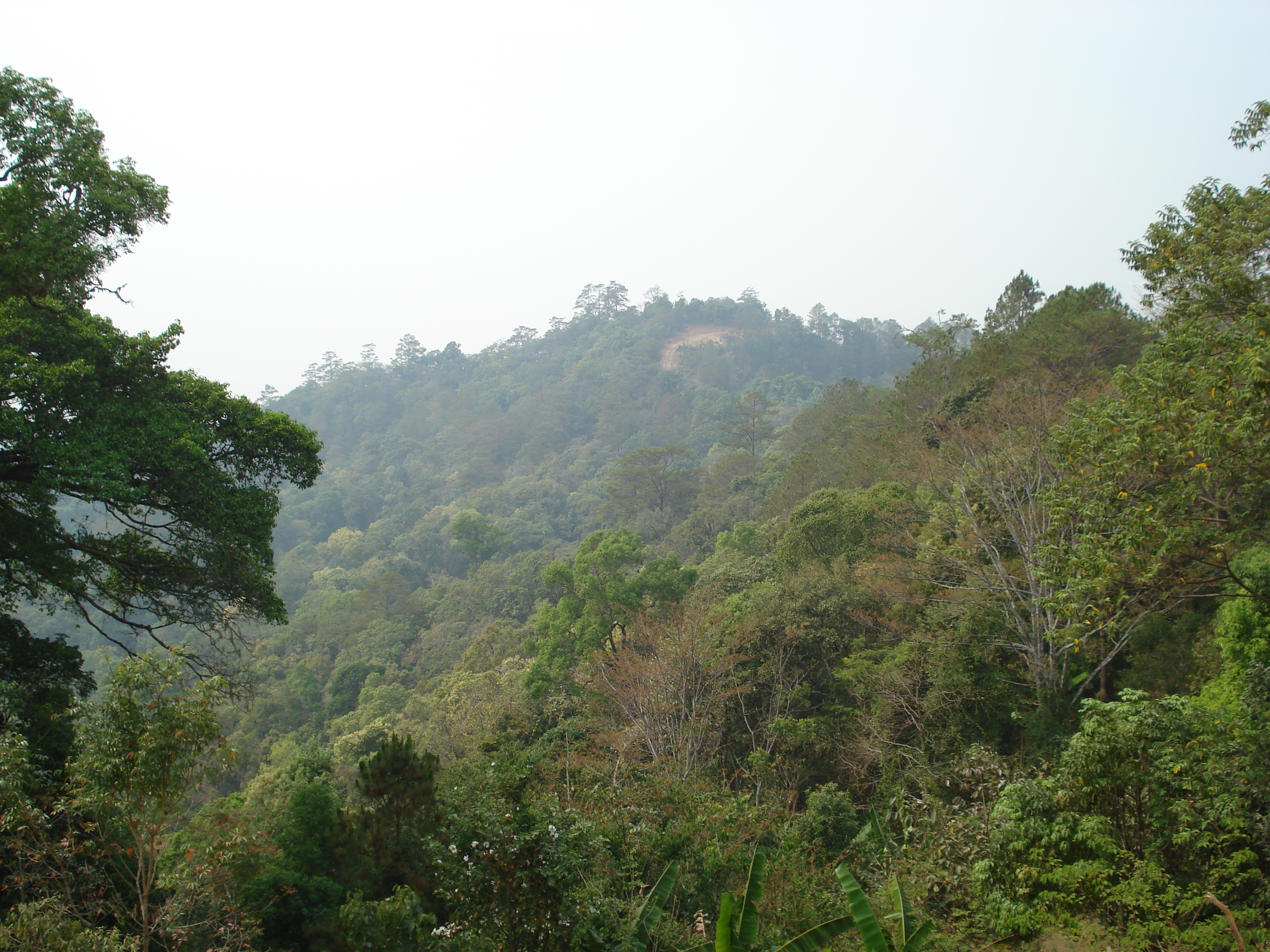 รูปถ่าย ไทย(Thailand) ถนนจากเชียงใหม่ไปปาย(Chiang Mai to Pai road) 2007-02 45