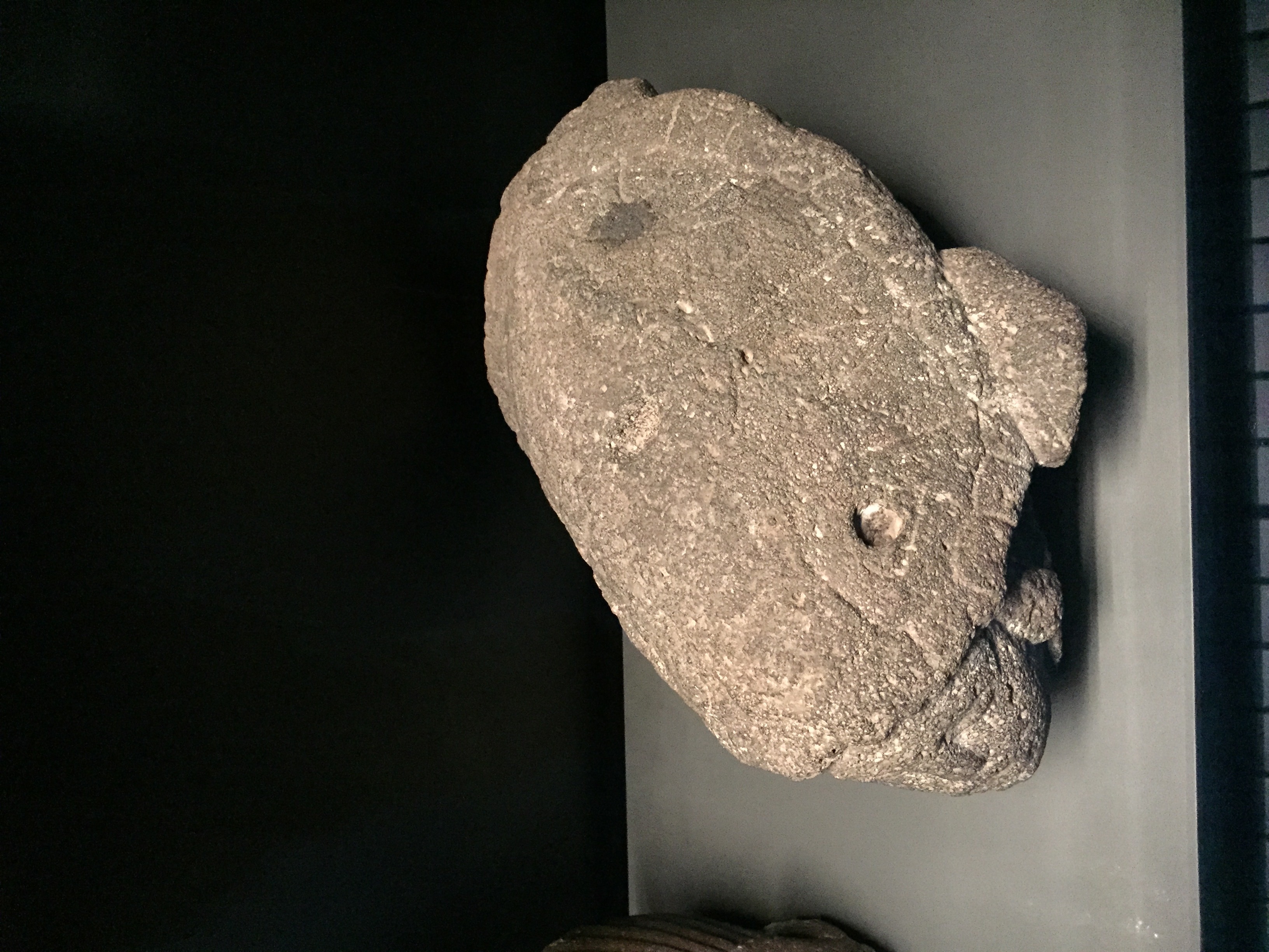 รูปถ่าย ฝรั่งเศส(France) ปารีส(Paris) พิพิธภัณฑ์เกบร็องลี(Quai Branly Museum) 2015-09 51