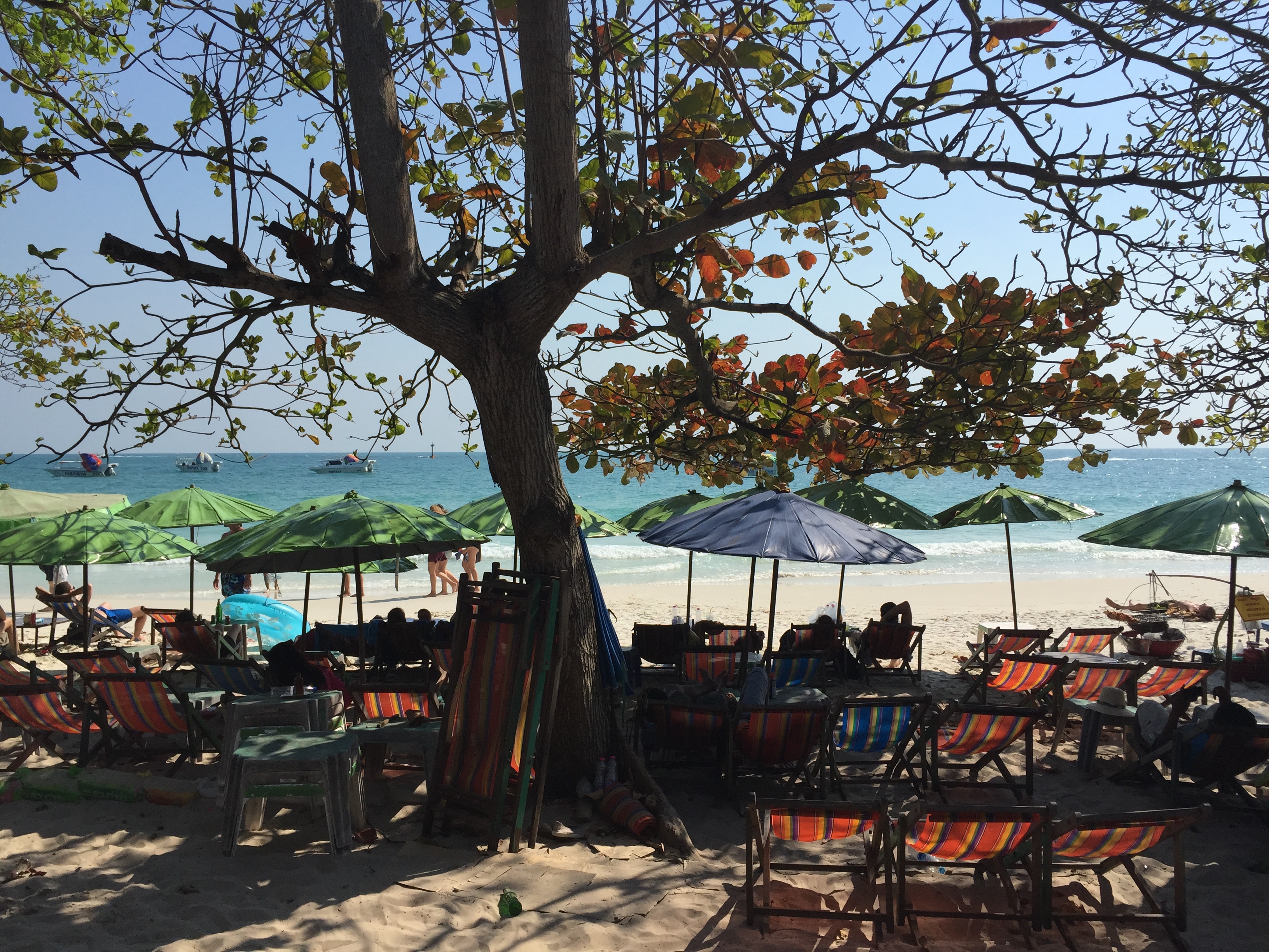รูปถ่าย ไทย(Thailand) เกาะเสม็ด(Ko Samet) 2016-01 43