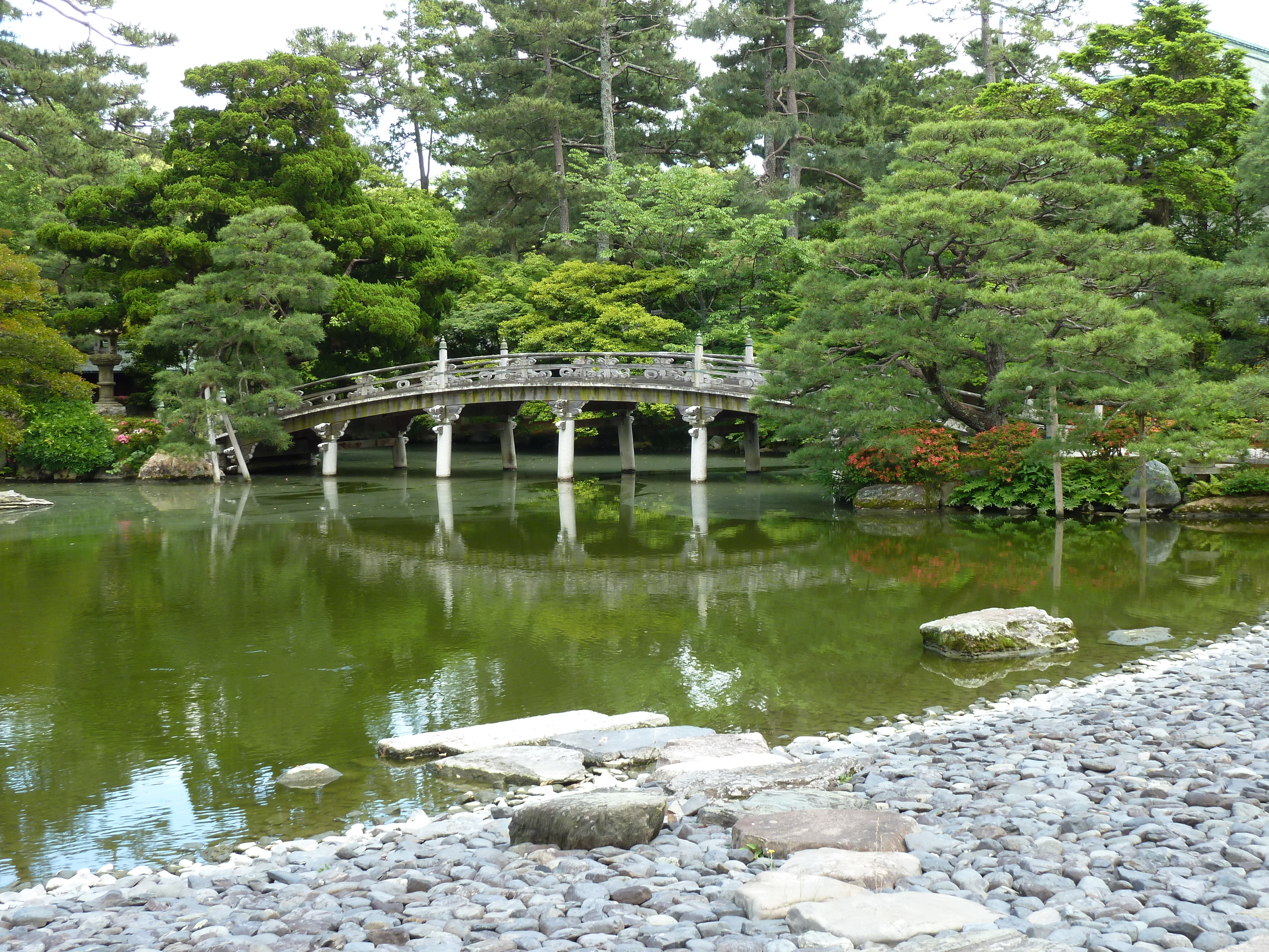 รูปถ่าย ญี่ปุ่น(Japan) เกียวโต(Kyoto) พระราชวังหลวงเกียวโต(Kyoto Imperial Palace) 2010-06 28