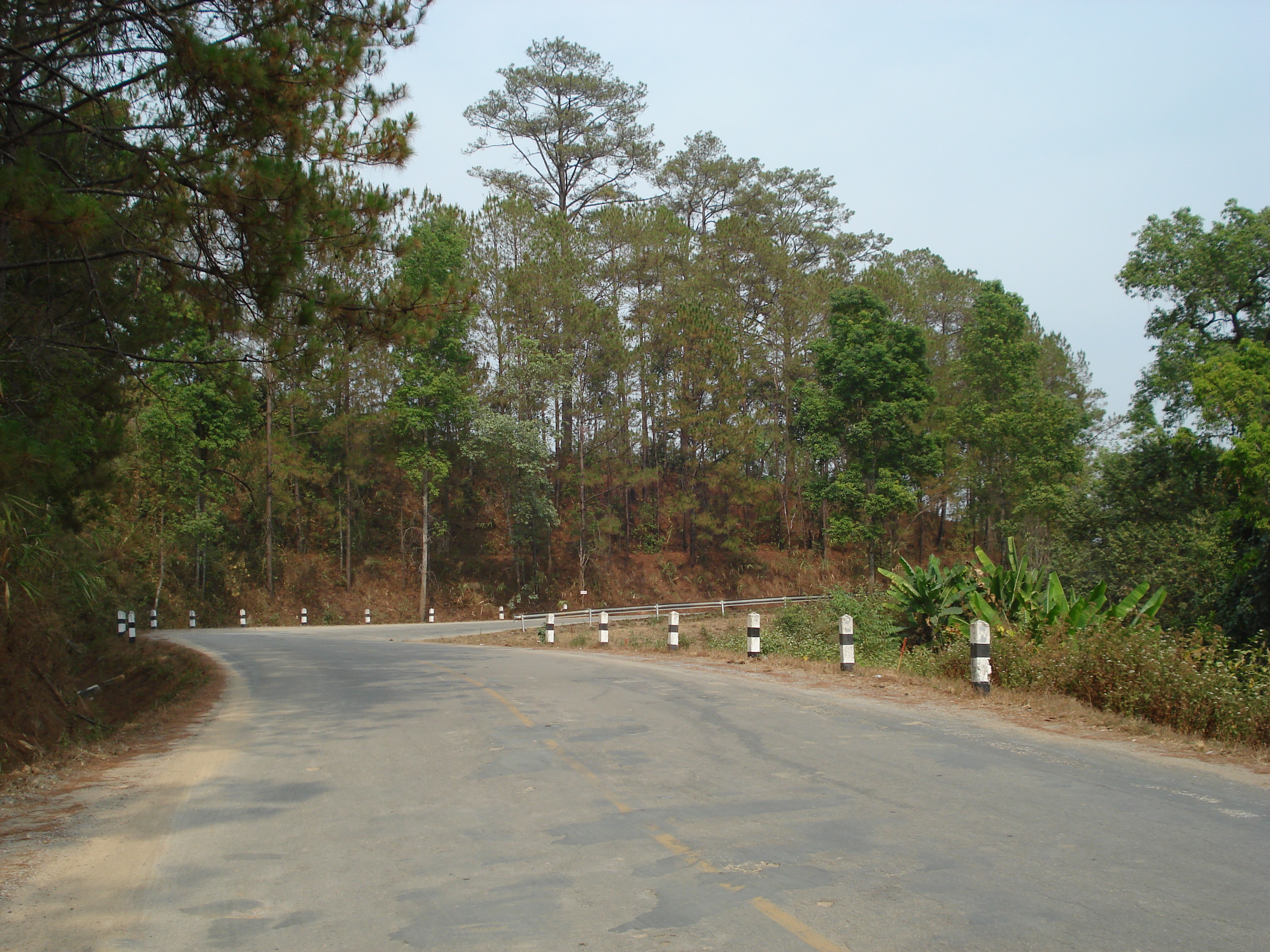 รูปถ่าย ไทย(Thailand) ถนนจากเชียงใหม่ไปปาย(Chiang Mai to Pai road) 2007-02 55