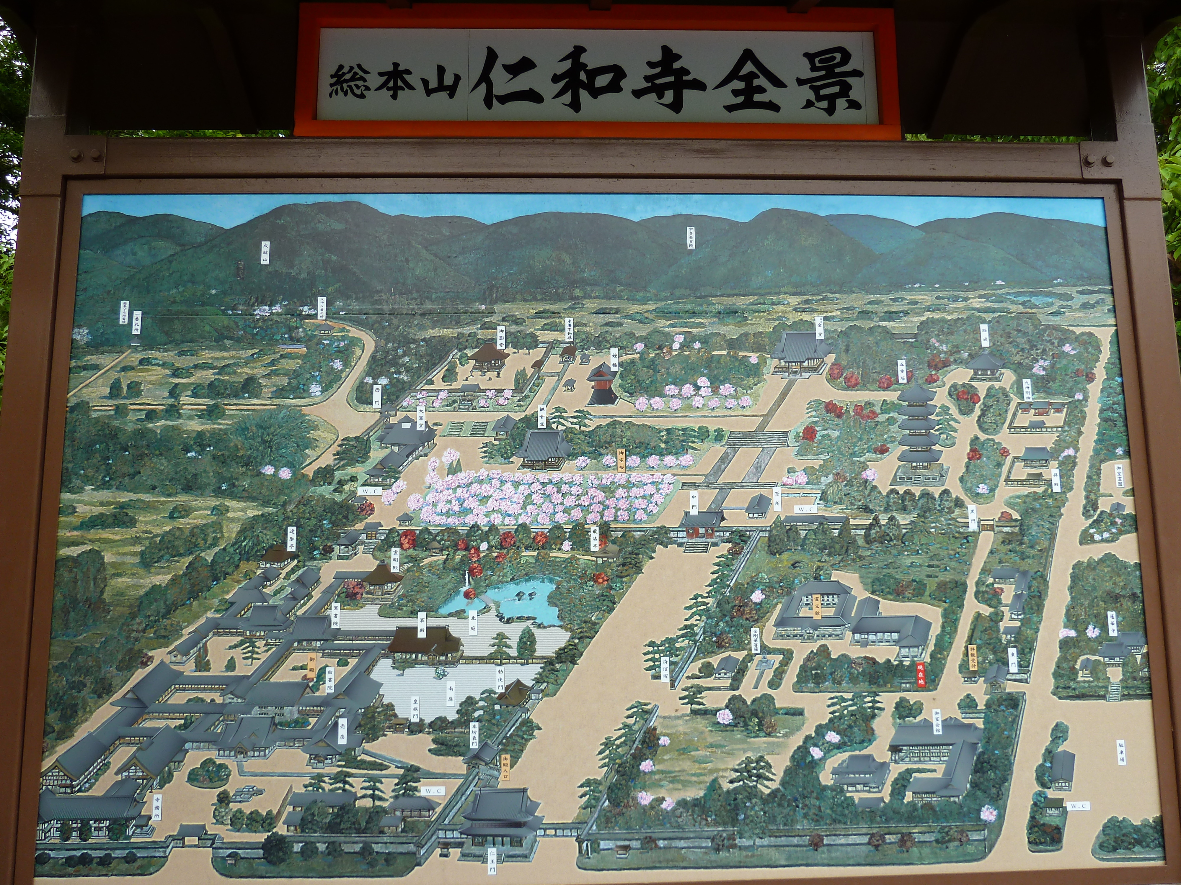 รูปถ่าย ญี่ปุ่น(Japan) เกียวโต(Kyoto) วัดนินนะจิ(Ninna ji Temple) 2010-06 64