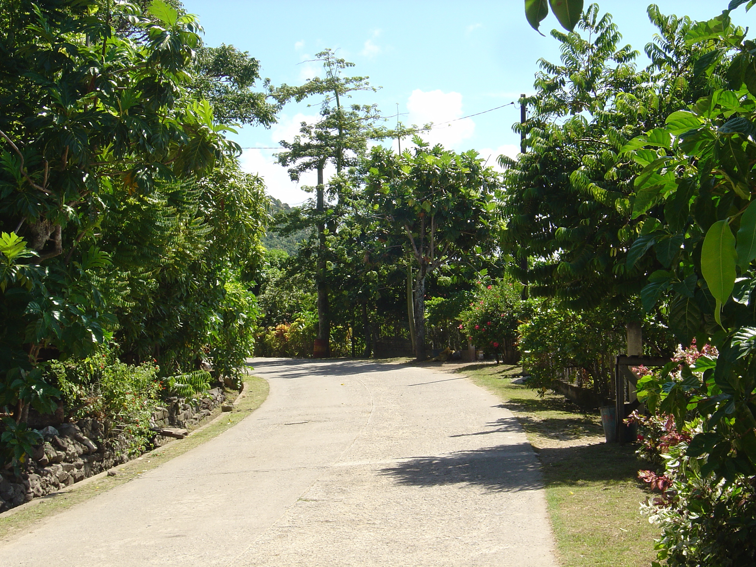 รูปถ่าย เฟรนช์โพลี่นีเซีย(Polynesia) โบราโบรา(Bora Bora) 2006-04 82