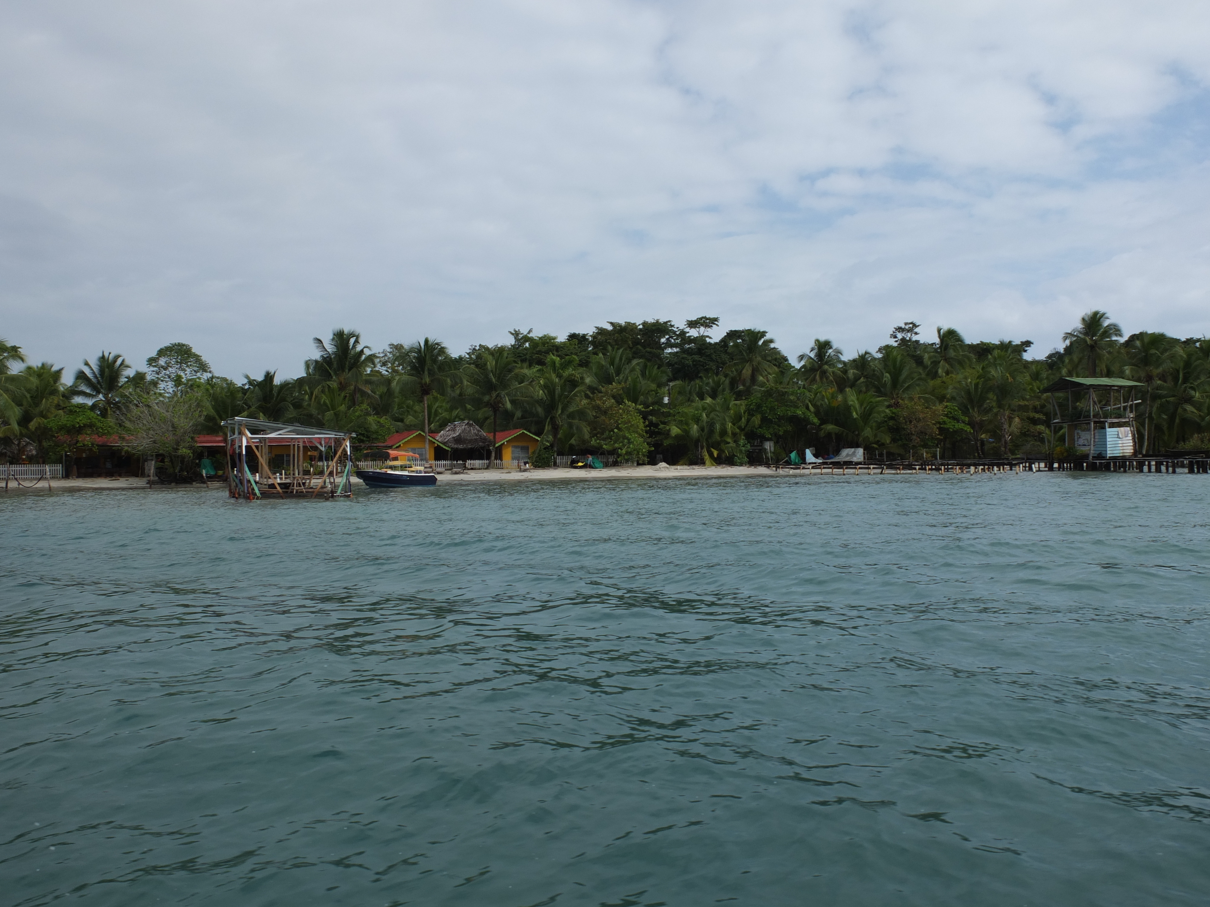 รูปถ่าย ปานามา(Panama) เกาะบาสติเมนโตส(Bastimentos) 2015-03 5