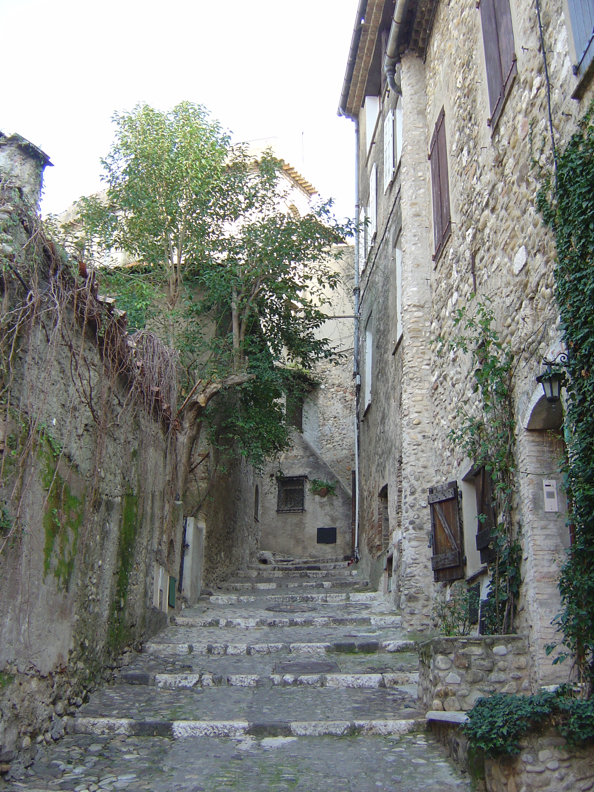 รูปถ่าย ฝรั่งเศส(France) โอต์-เดอ-คาญ(Les Hauts de Cagnes) 2006-01 68