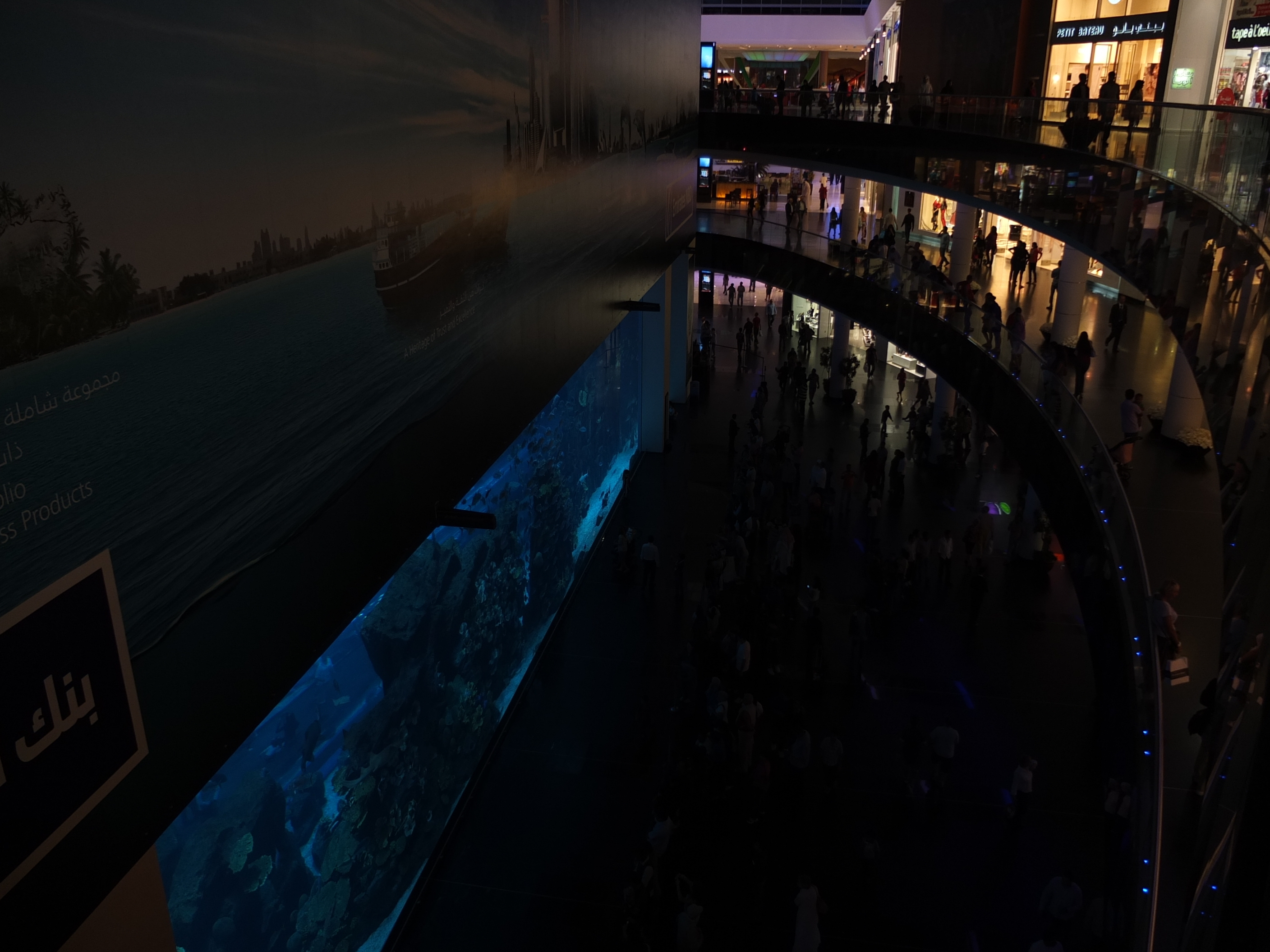 รูปถ่าย สหรัฐอาหรับเอมิเรตส์(United Arab Emirates) ดูไบ(Dubai) ดูไบมอลล์(The Dubai Mall) 2011-12 15