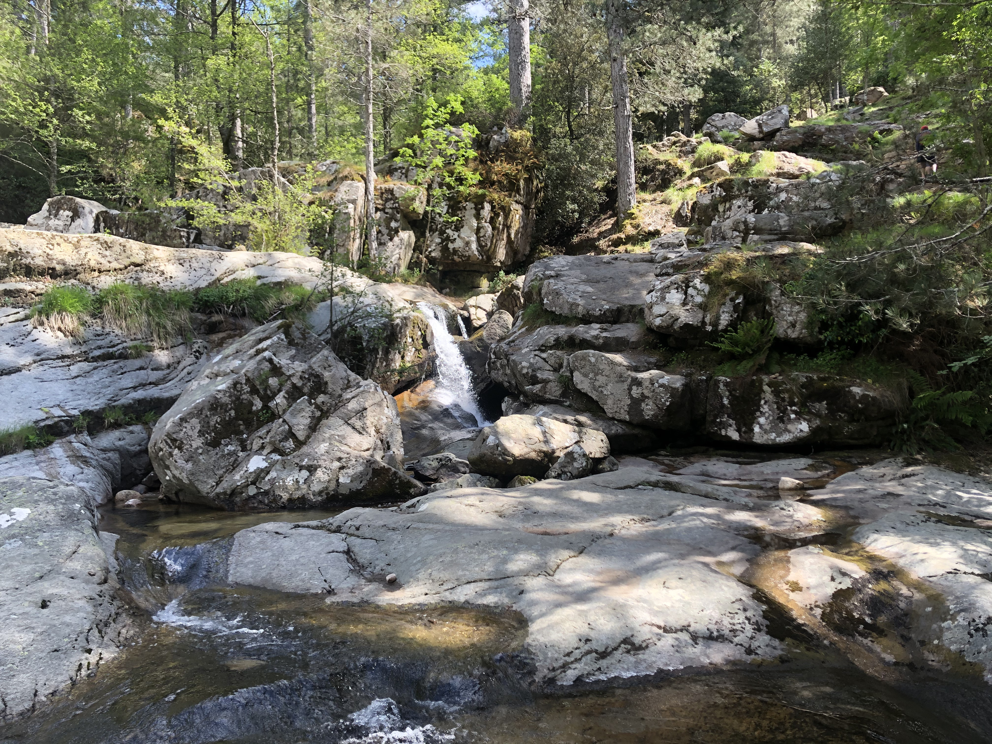 รูปถ่าย ฝรั่งเศส(France) คอร์สิคา(Corsica) ป่าไอโตเน(Aitone Forest) 2021-06 39