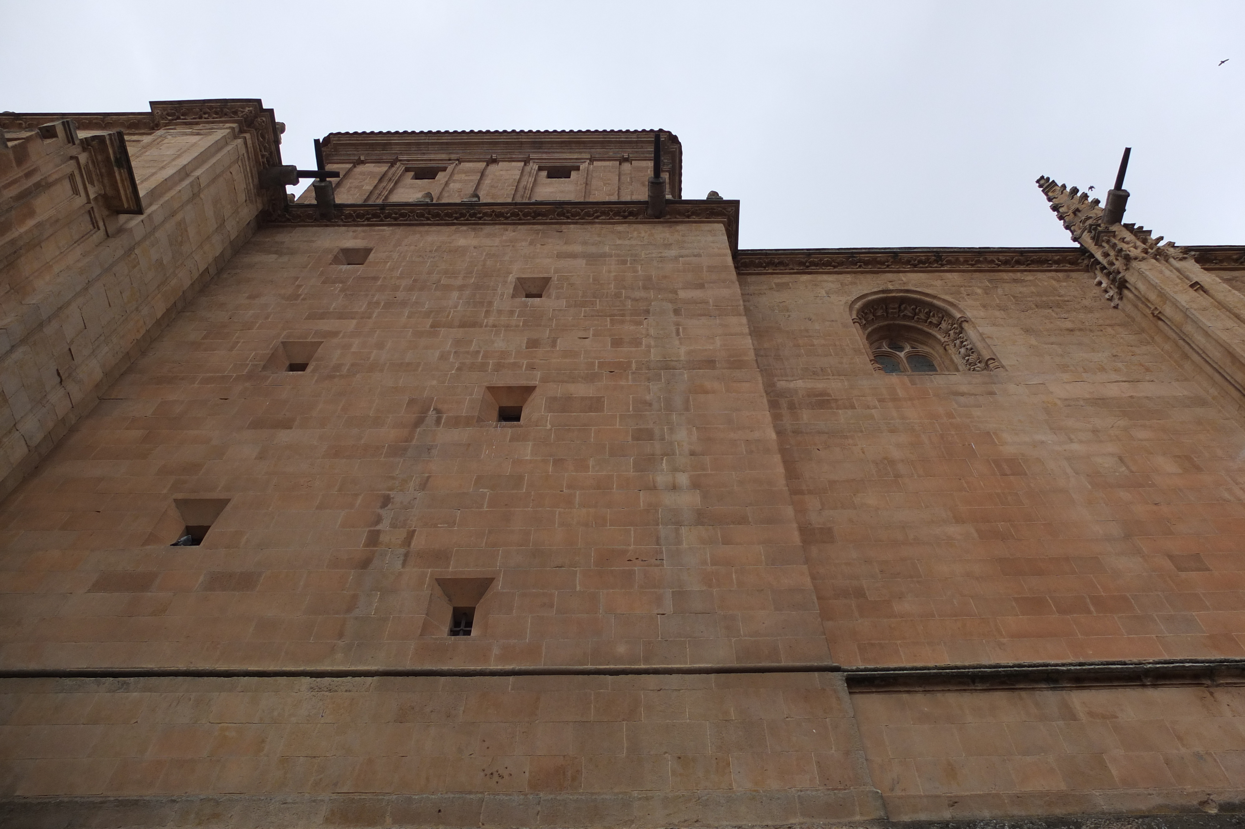 รูปถ่าย สเปน(Spain) ซาลามังกา(Salamanca) 2013-01 75