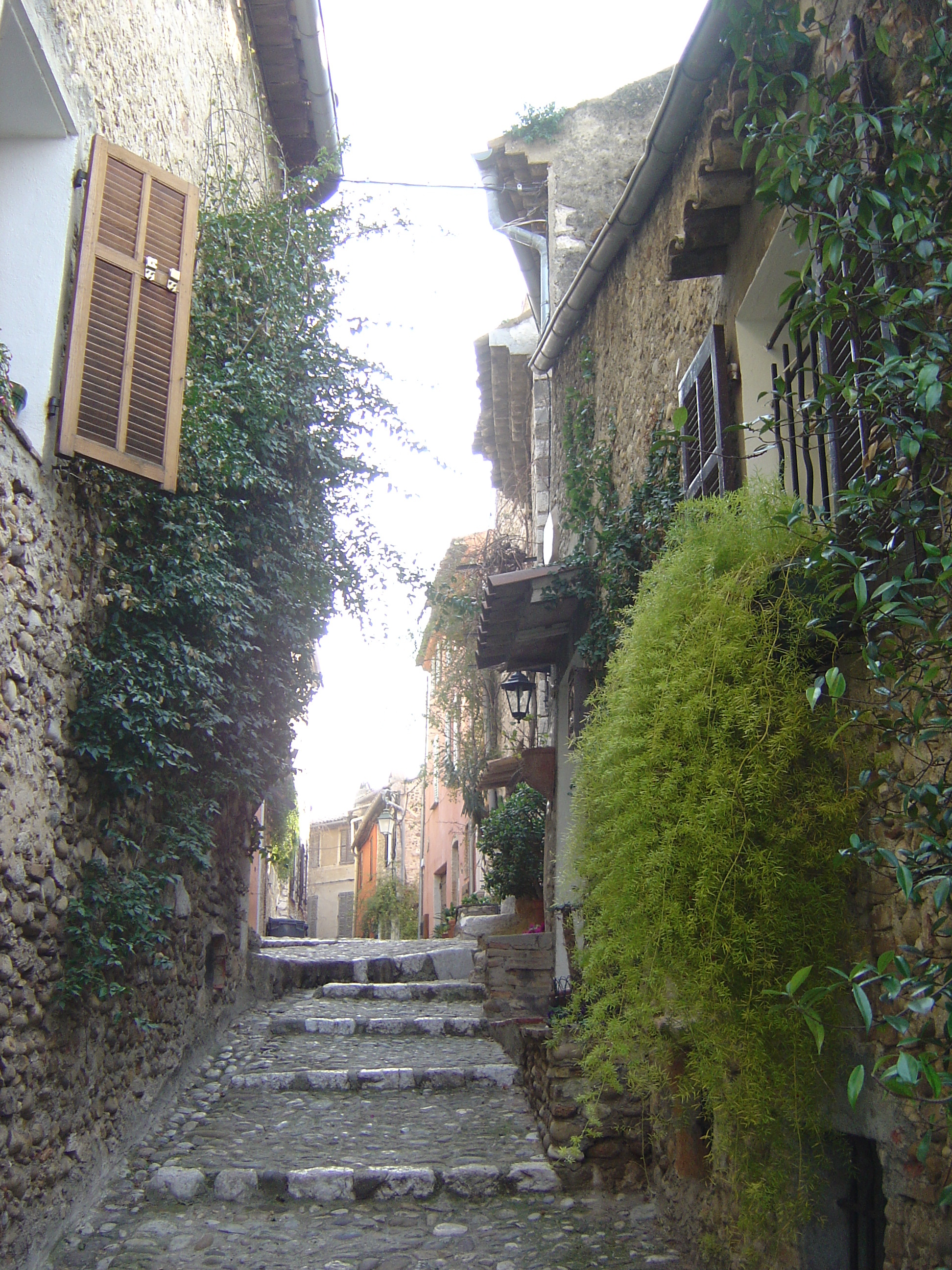 รูปถ่าย ฝรั่งเศส(France) โอต์-เดอ-คาญ(Les Hauts de Cagnes) 2006-01 27