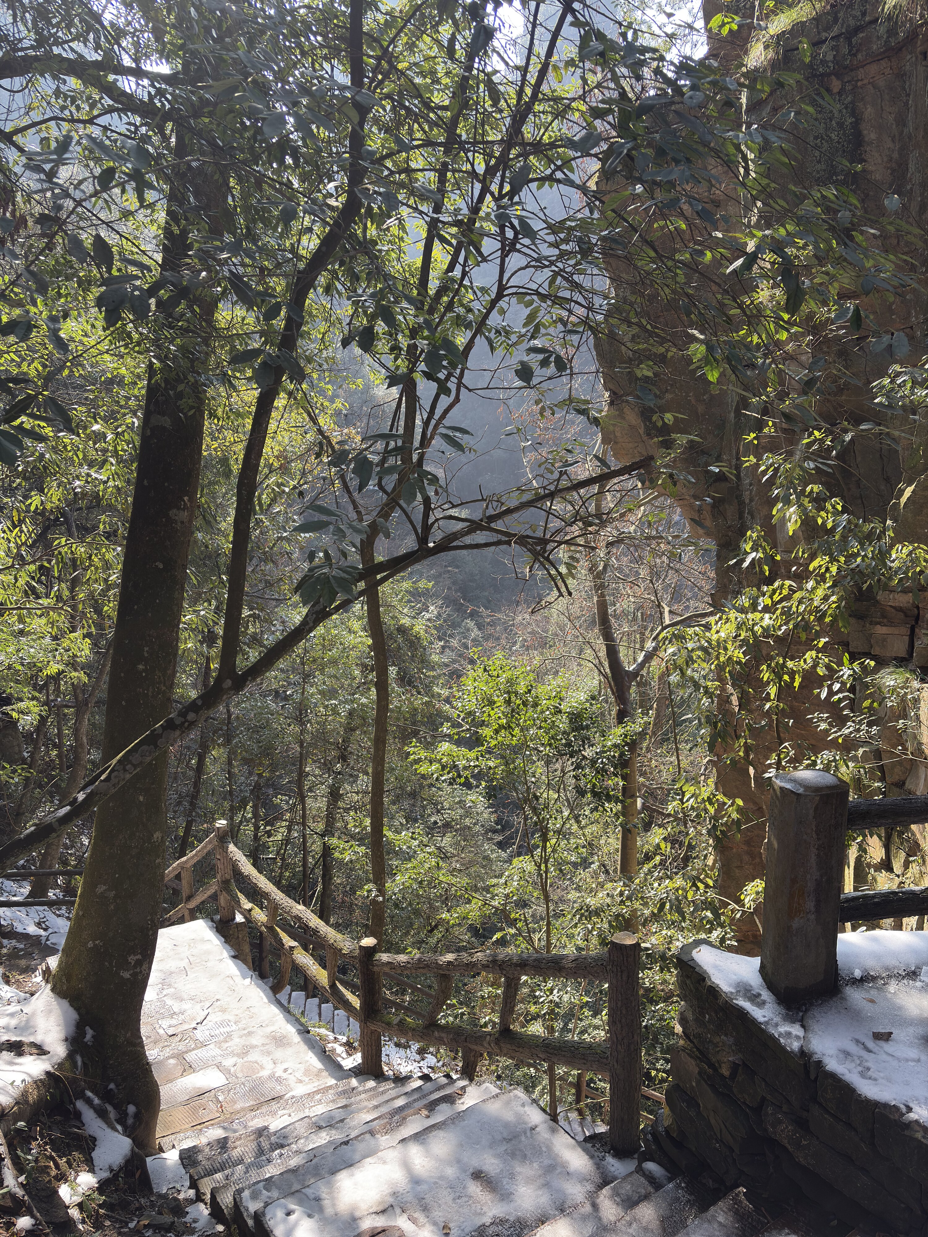 รูปถ่าย จีน(China) จางเจียเจี้ย(Zhangjiajie) ภูเขาเทียนจื่อ(Tianzi Mountain) 2026-01 73