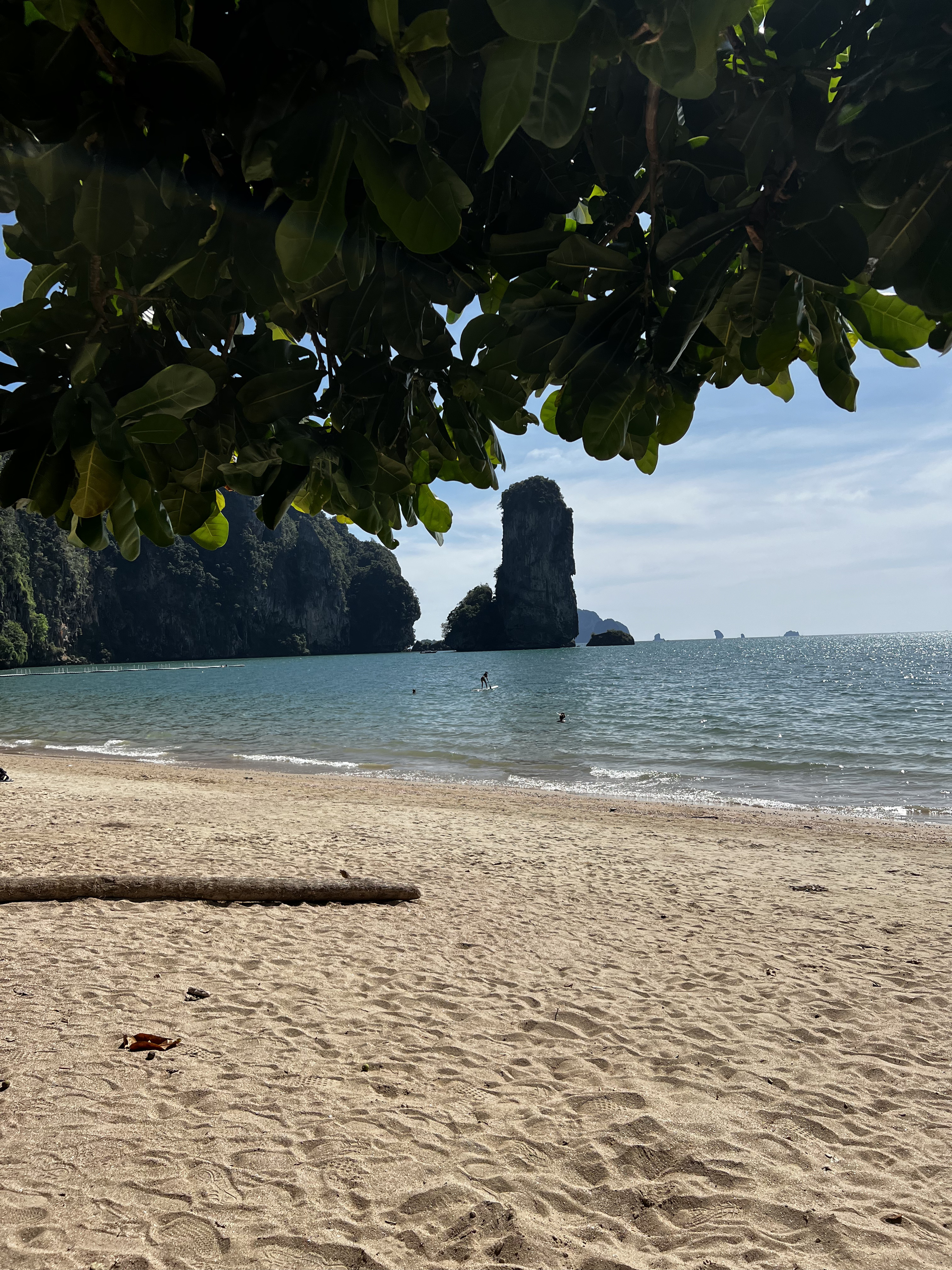 รูปถ่าย ไทย(Thailand) กระบี่(Krabi) 2023-01 106