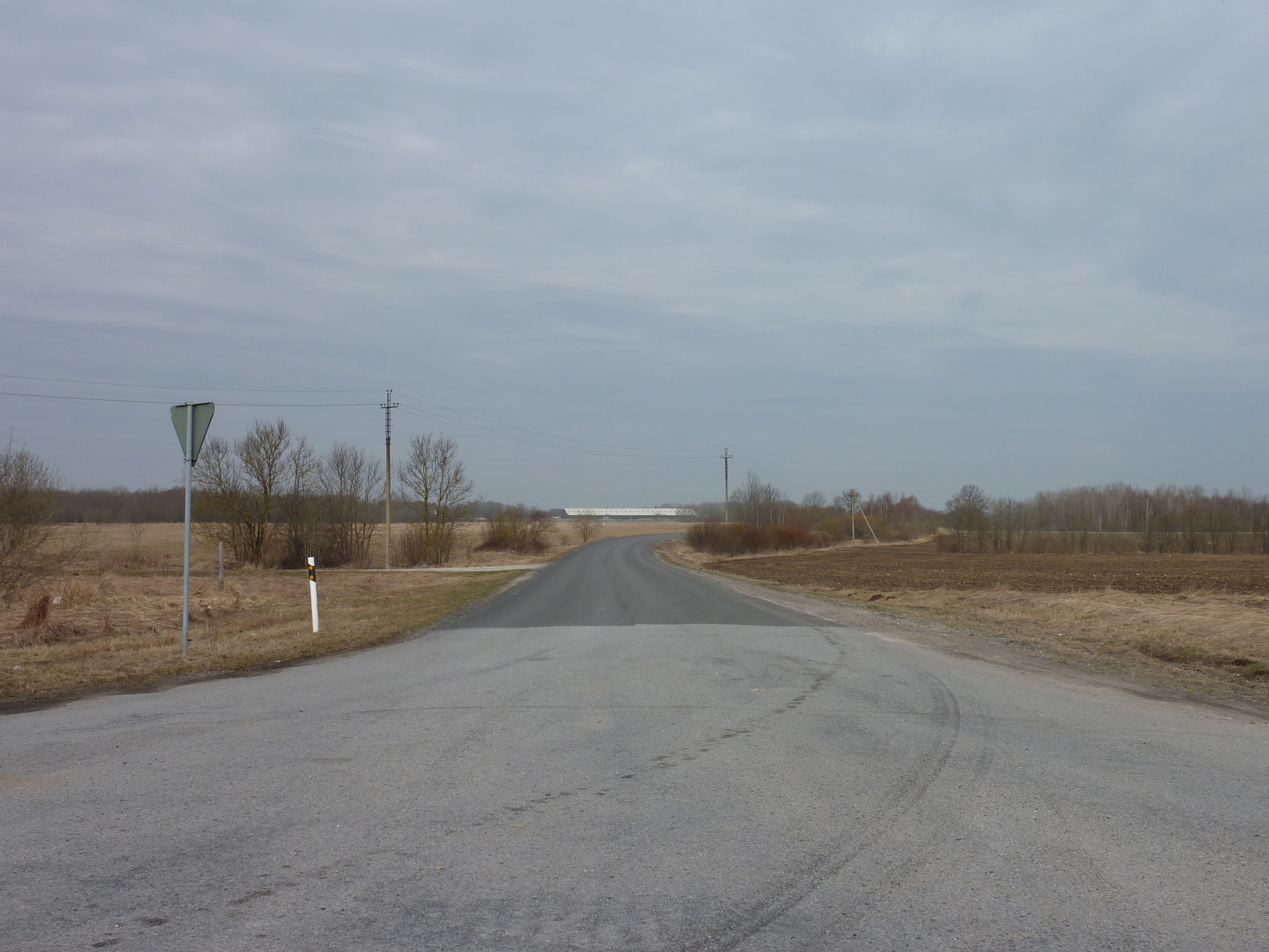 รูปถ่าย เอสโตเนีย(Estonia) ถนนจากทาลลินน์ไปฮาปซาลู(Tallinn to Haapsalu road) 2009-04 51