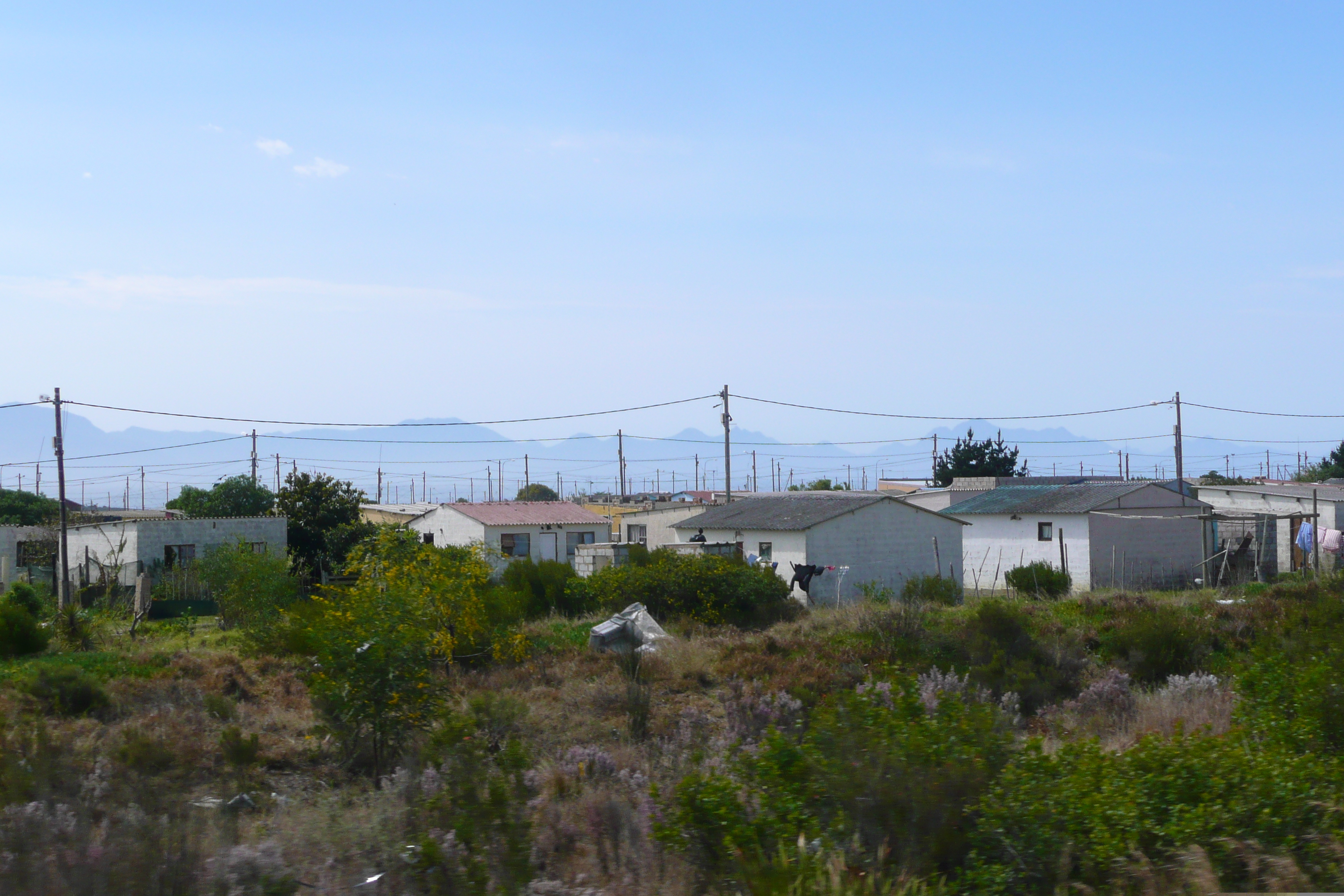 รูปถ่าย แอฟริกาใต้(South Africa) ถนนจากเฮอร์มานัสไปไนส์นา(Harmanus to Knysna road) 2008-09 39
