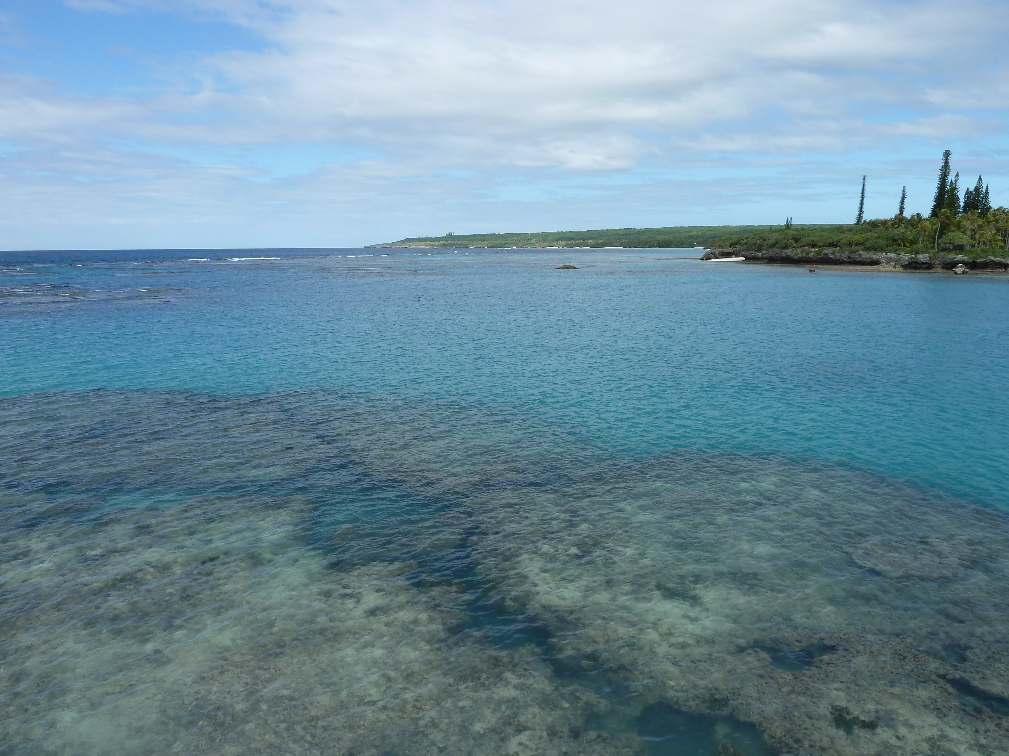 รูปถ่าย นิวแคลิโดเนีย(New Caledonia) 2010-05 67