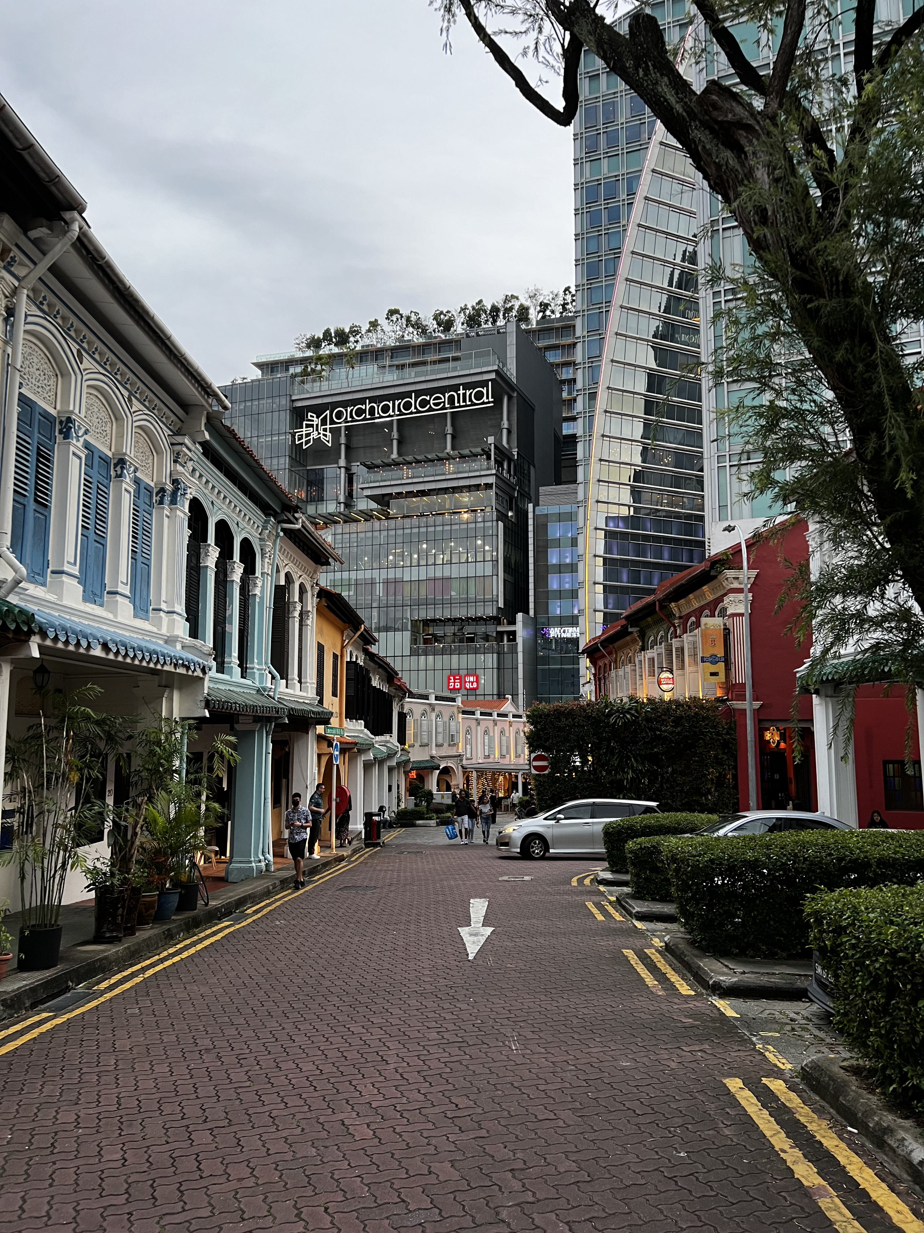 รูปถ่าย สิงคโปร์(Singapore) ถนนออร์ชาร์ด(Orchard road) 2023-01 74